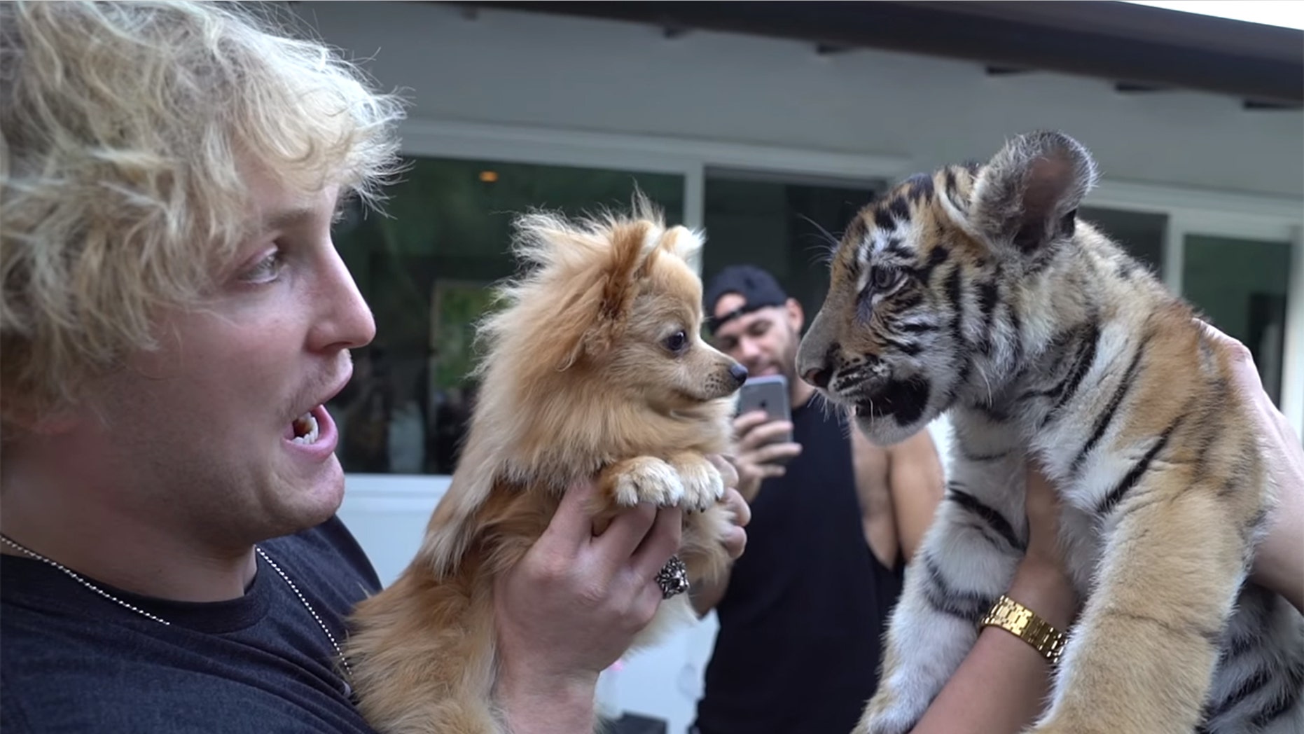 A California man faces charges after a tiger cub appeared in one of Logan Paul's video last year.