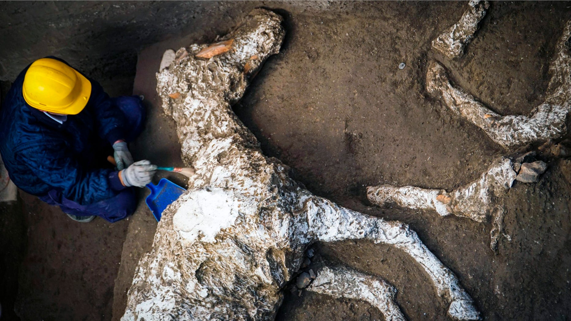 An archaeologist inspects the remains of a horse skeleton in the Pompeii archaeological site Sunday. (Cesare Abbate/ANSA Via AP)