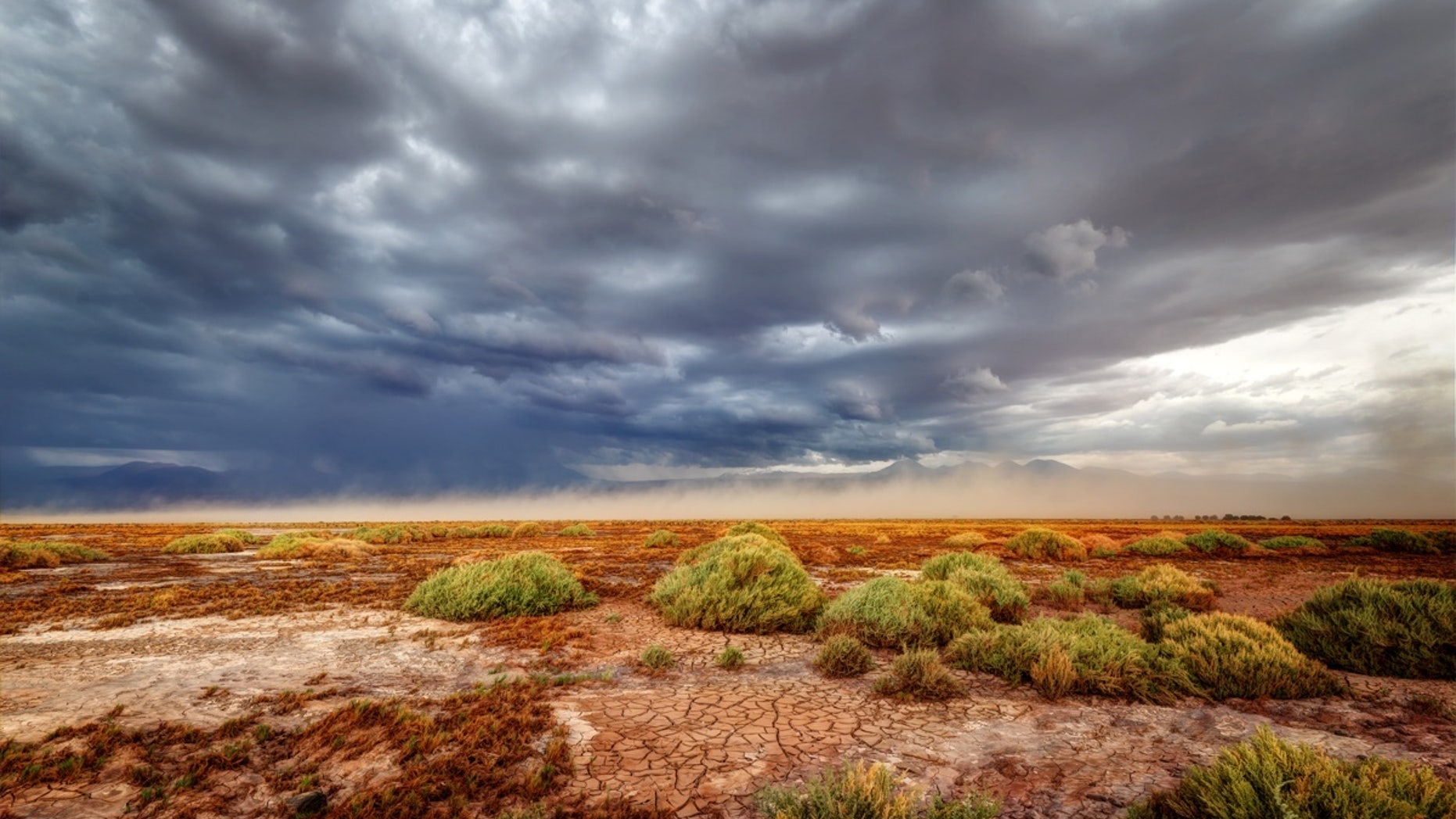 The Atacama desert typically receives less than a half-inch of rain every year.