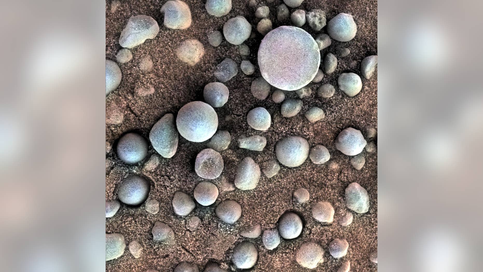 Early in its mission, the Opportunity rover spotted round, iron-rich concretions nicknamed "blueberries," which constituted one of several different types of evidence suggesting that Mars used to be wet. This (false-color) photo captures an area just 1.2 inches (3 centimeters) across.
