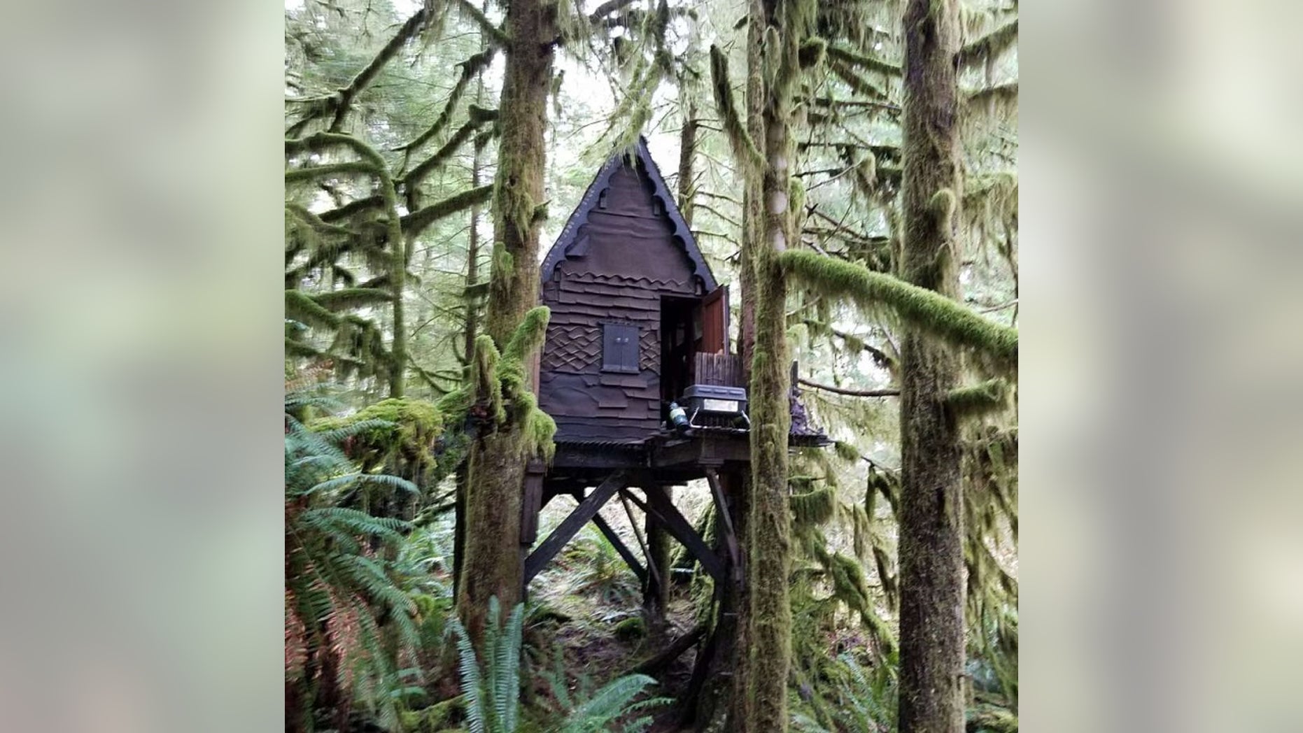 Authorities found a stash of child pornography in a remote cabin in a national forest.