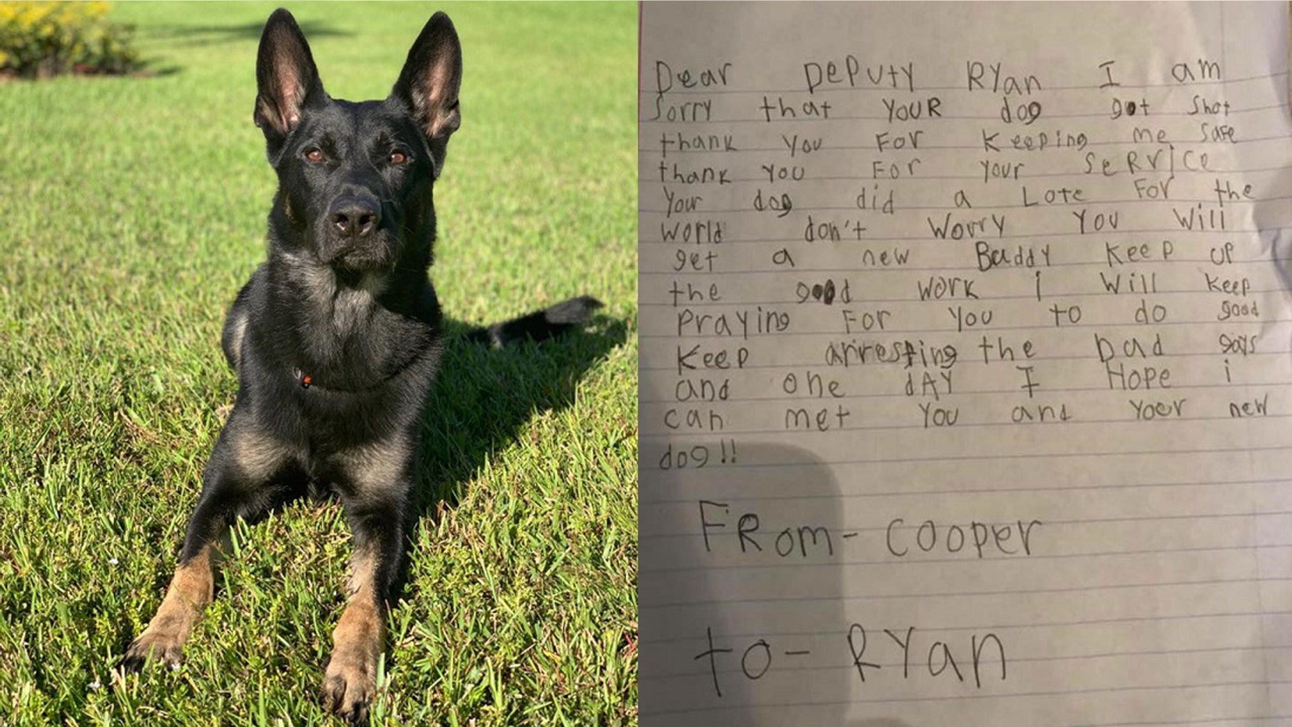 Palm Beach Sheriff's Office K-9 Officer Cigo sacrificed his life to save his fellow officers during a Christmas Eve shooting on Monday. A Florida boy named Ryan penned a letter shared on Thursday to the deputy to whom Cigo belonged.