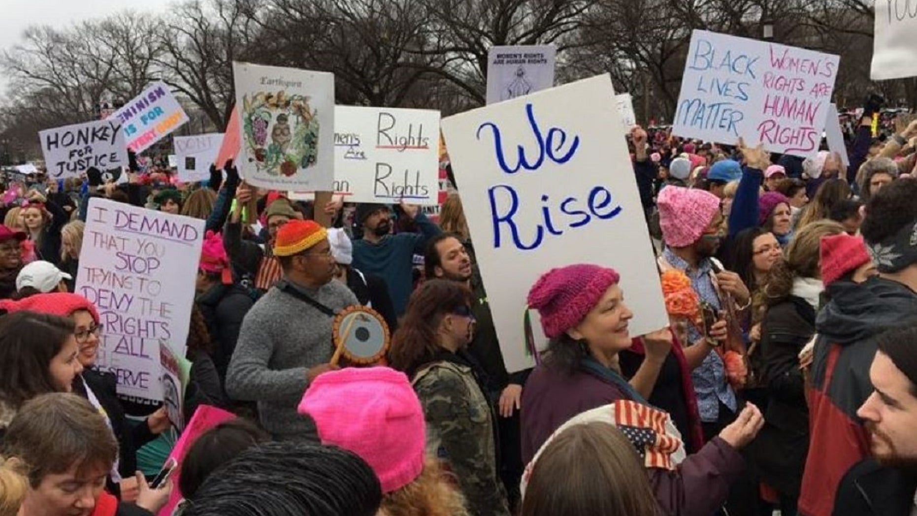 Protesters gather on the National Mall in Washington. in the first Women's March in Jan. 21, 2017.