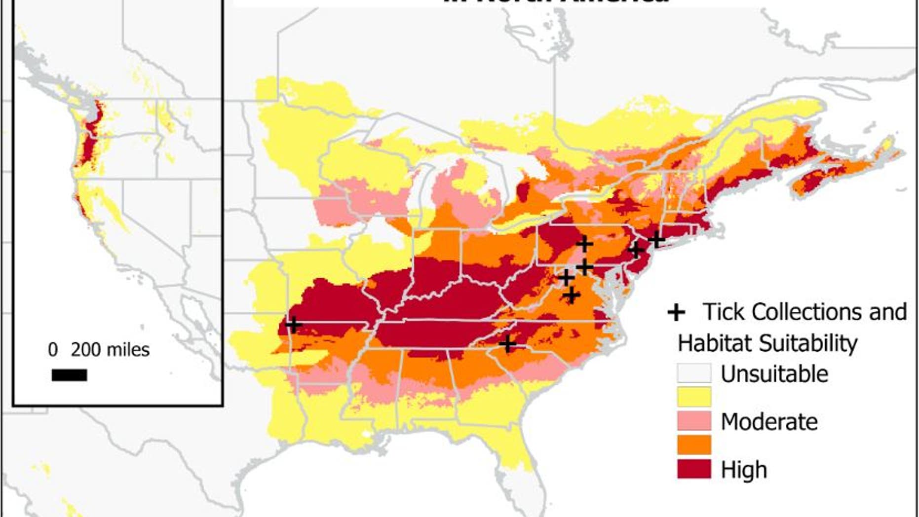 A map showing the potential range of the Asian longhorned tick (<em>Haemaphysalis longicornis</em>) in North America, according to a new study published in the Journal of Medical Entomology.