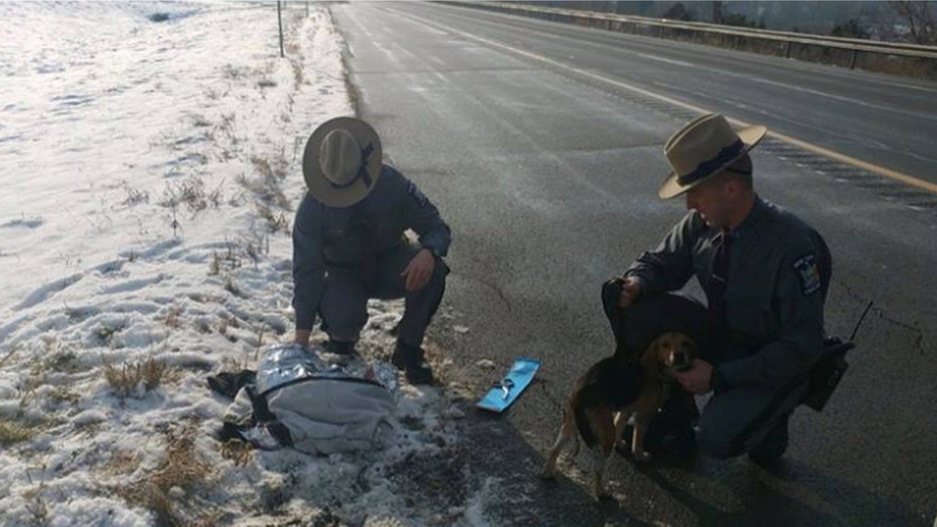 Two beagles were thrown out of an SUV on Interstate 81 in Cortland County on Wednesday.