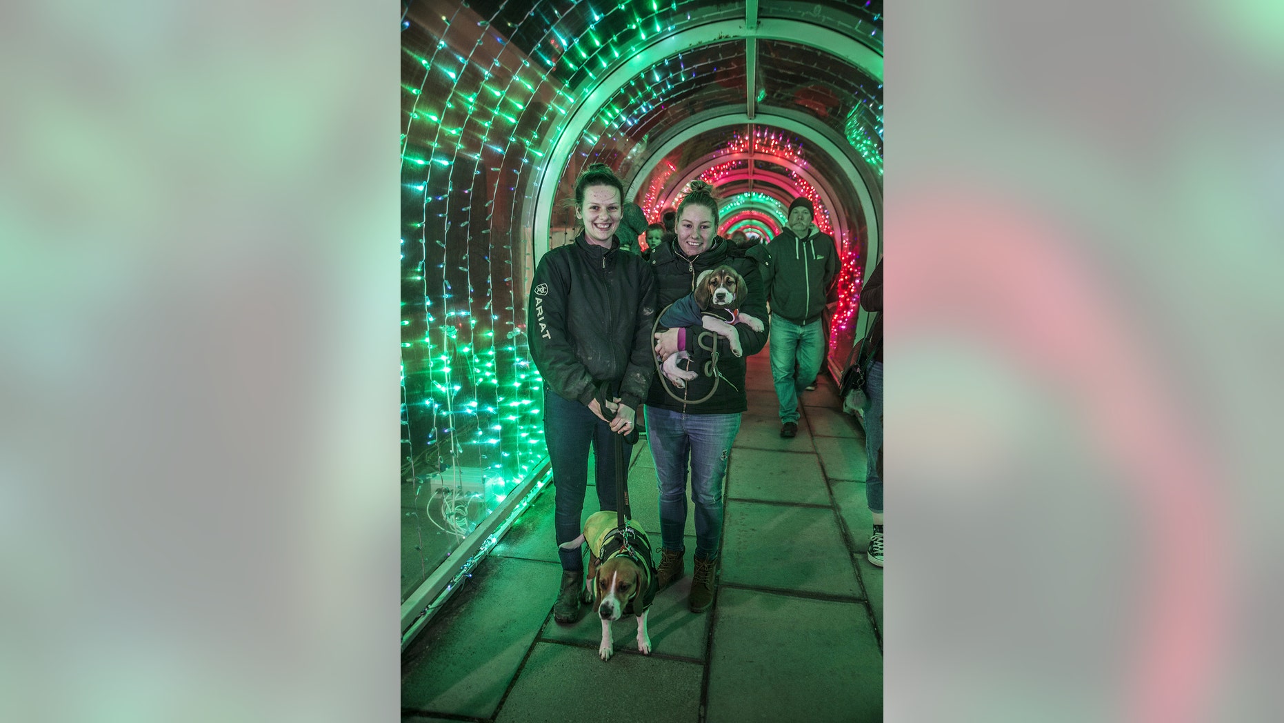 Celina Stone popped the question to her girlfriend, Jade Euden, inside the unlikely tourist attraction.