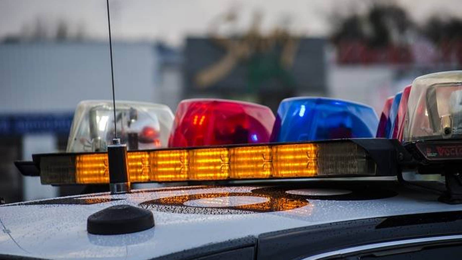 Police said a person was killed and a suspect remains at large after a shooting at a mall near Chicago.