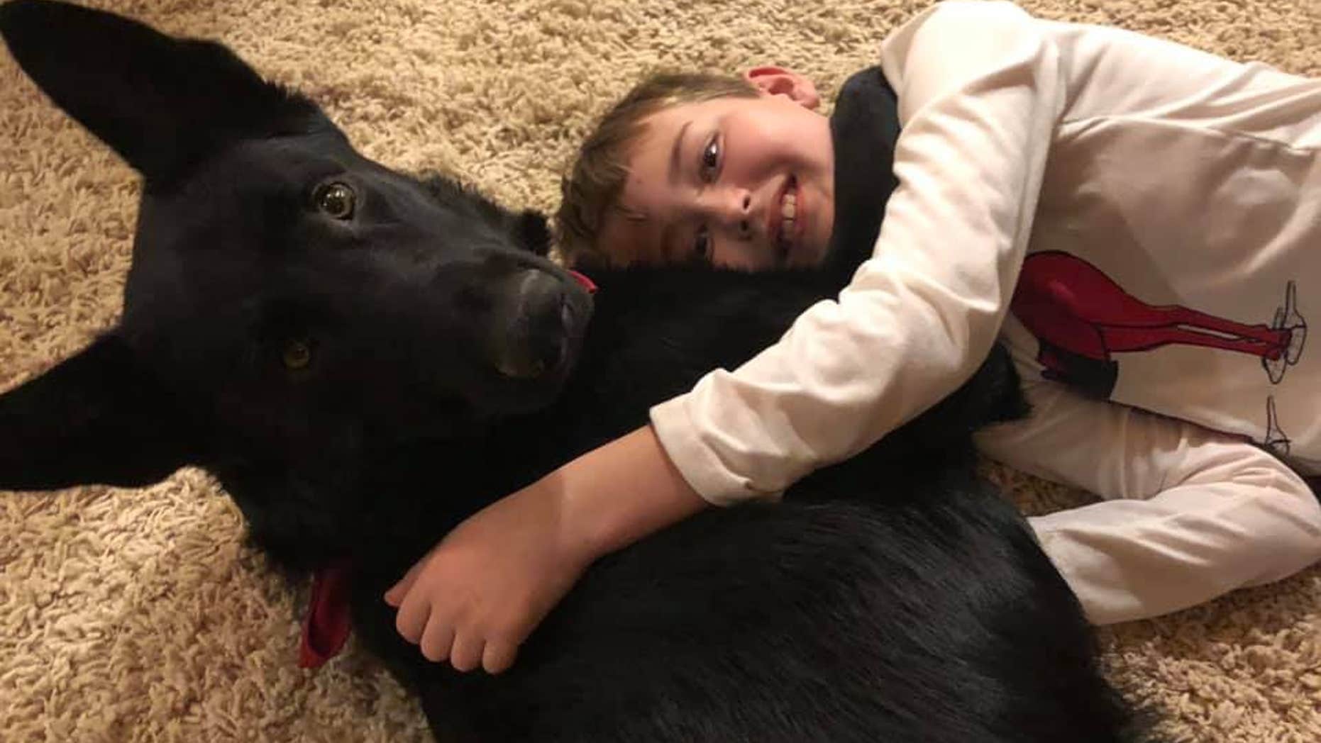An 8-year-old North Carolina boy, who is receiving cancer treatment in Utah, was reunited with his beloved dog thanks to the kindness of a complete stranger.