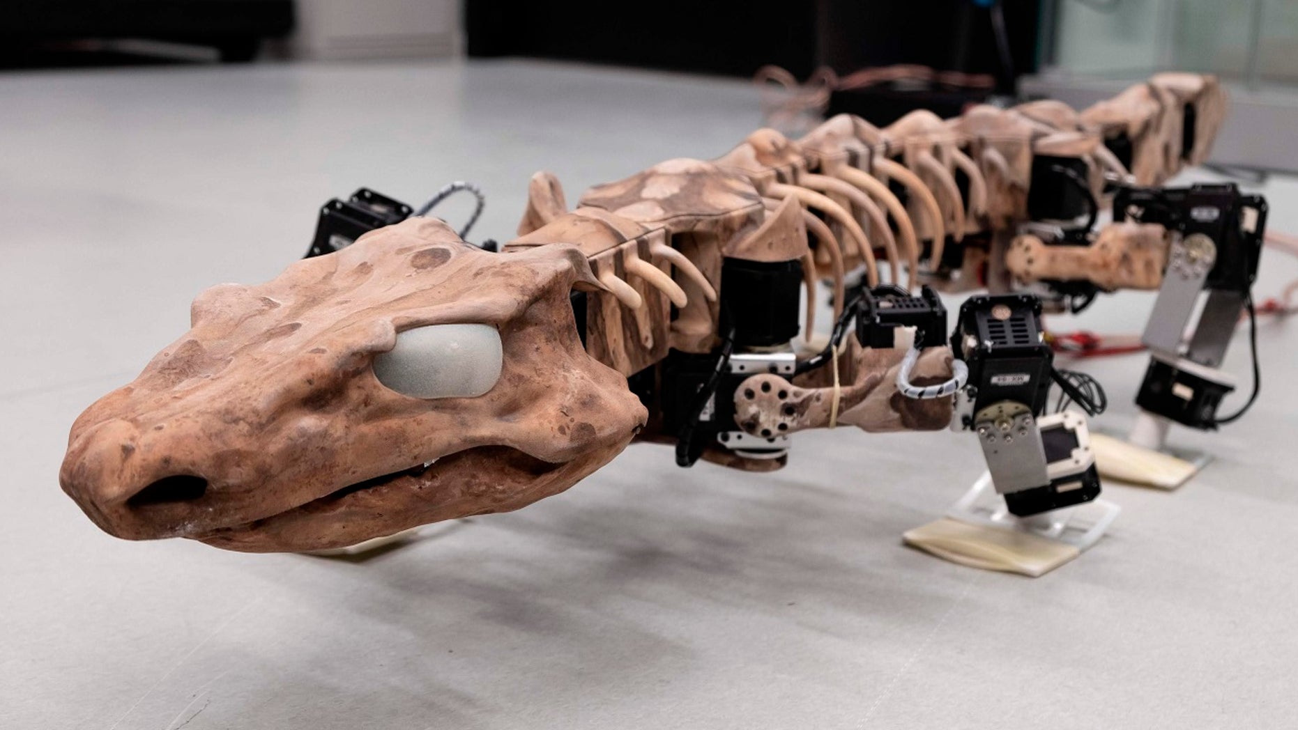 Researchers use robot to recreate movement of 290-million-old creature that existed before dinosaurs