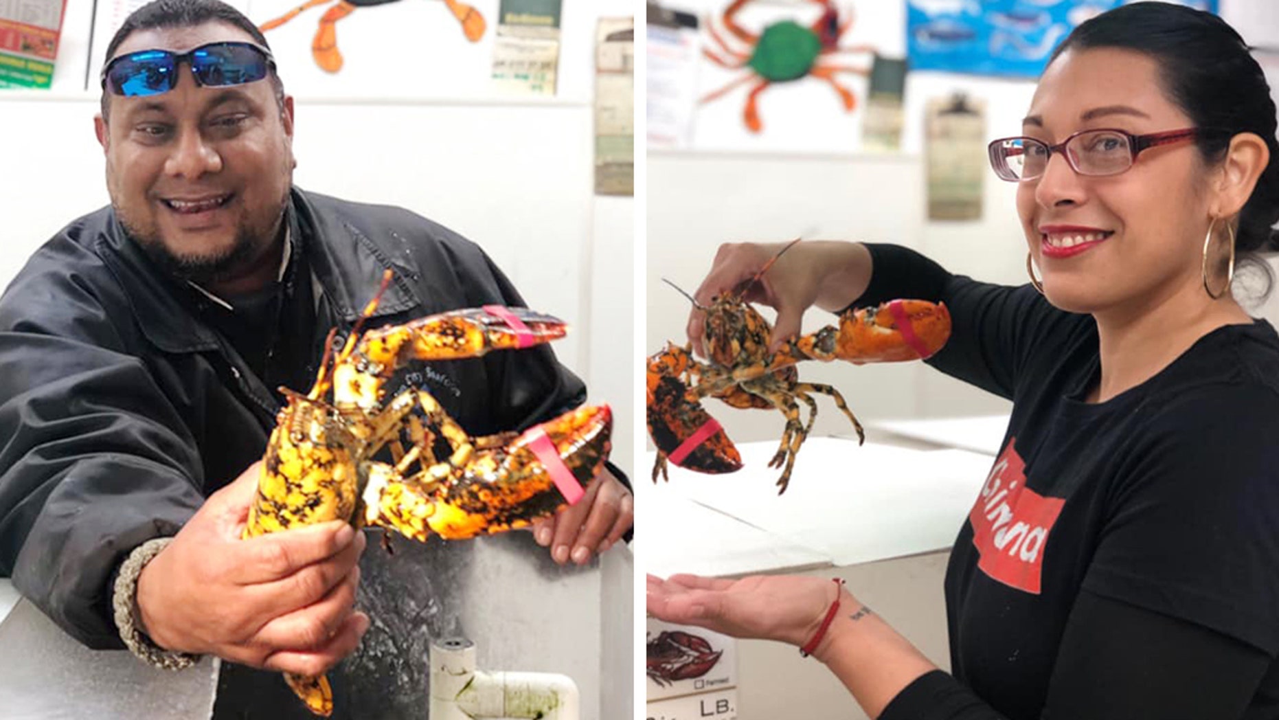 Rare calico lobster found at Maryland market, donated to aquarium