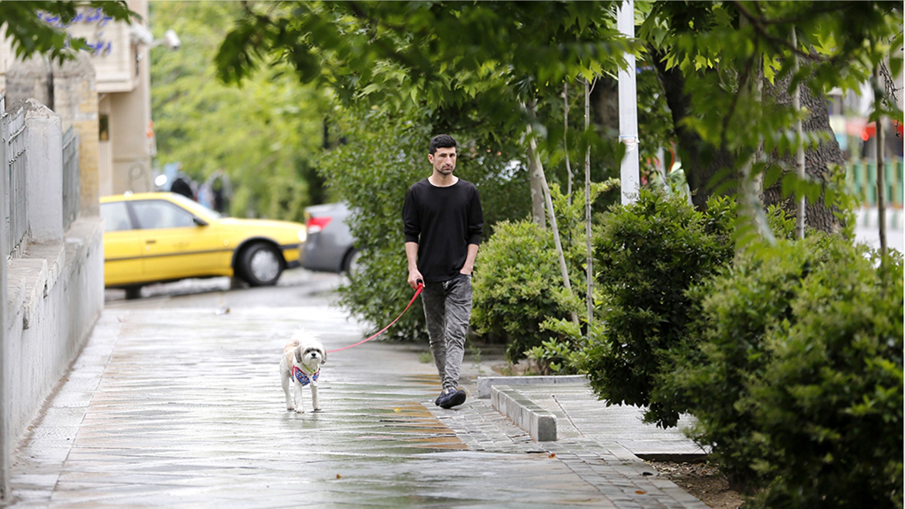 A man walks his dog in Tehran on May 9, 2018.