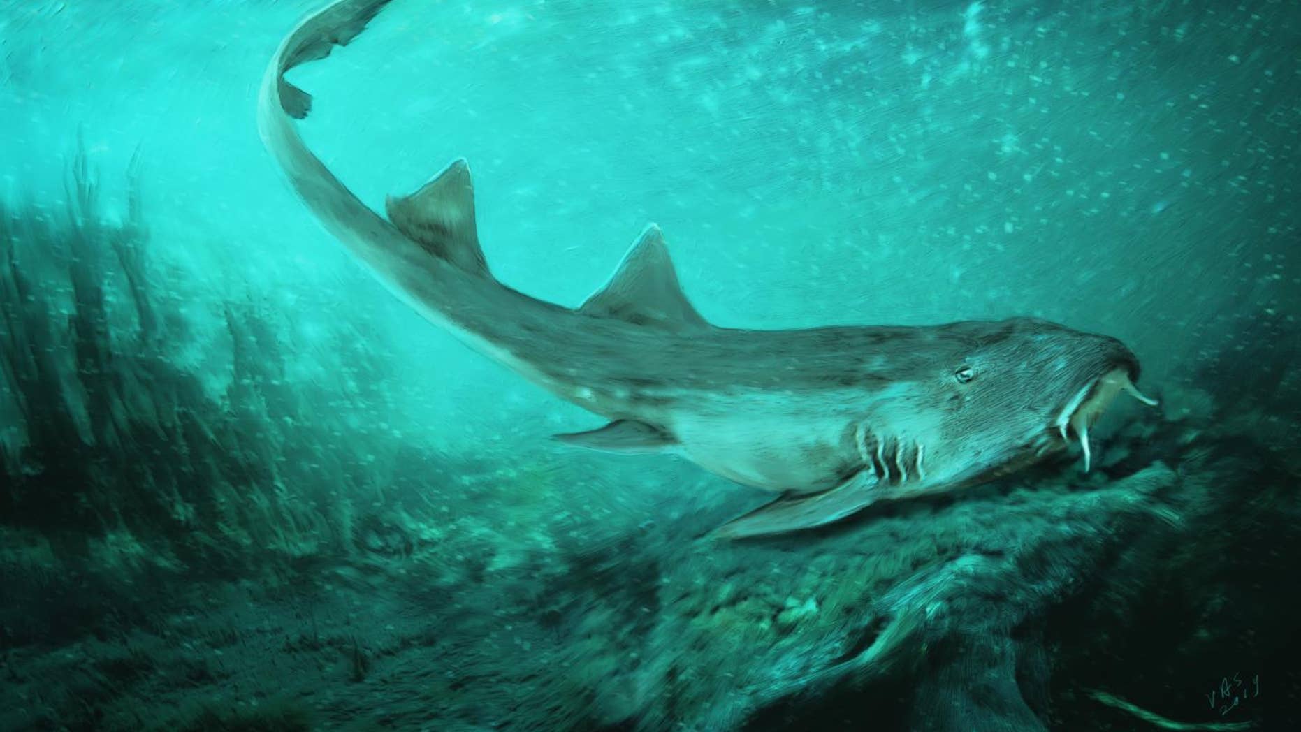 An illustration showing what Galagadon would have looked like in life swimming along the river floor