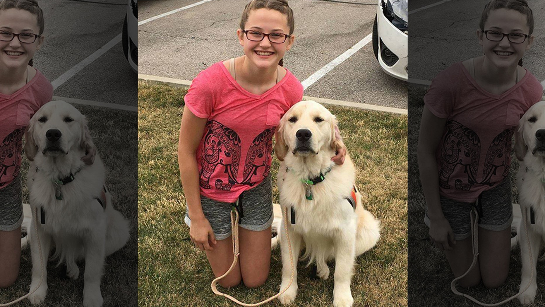 A diabetic alert dog trained to help prevent a 15-year-old girl from going into diabetic shock was apparently shot and killed in the family yard Sunday.