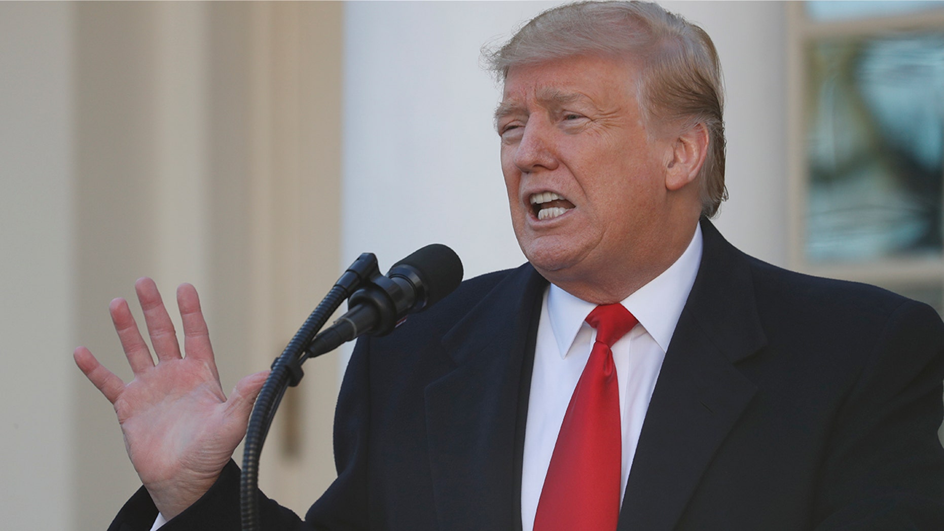 In this Jan. 25, 2019, photo, President Donald Trump speaks in the Rose Garden of the White House in Washington. (AP Photo/Jacquelyn Martin)