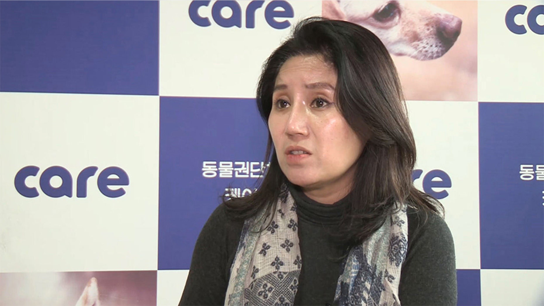 Park So-yeon, the director of one of South Korea's most prominent animal rights groups, CARE, is being asked to step down after she was accused of being involved in the euthanization of hundreds of dogs at a "no kill" shelter