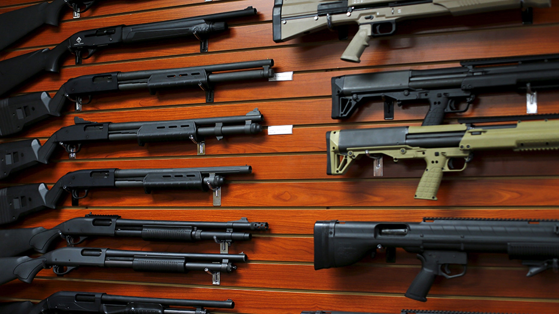 Despicable: New California governor recycles bill to limit individual gun sales Shotguns3