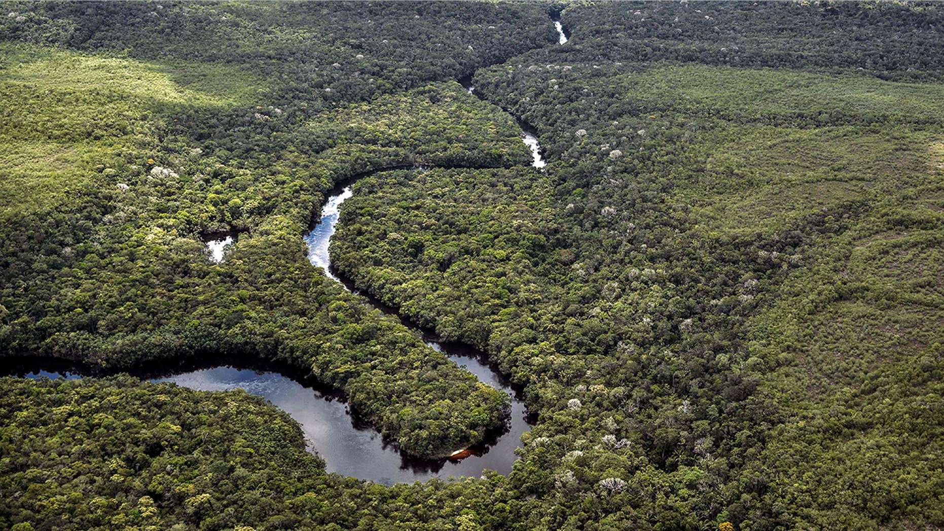 An aerial view of the Amazon rainforest.
