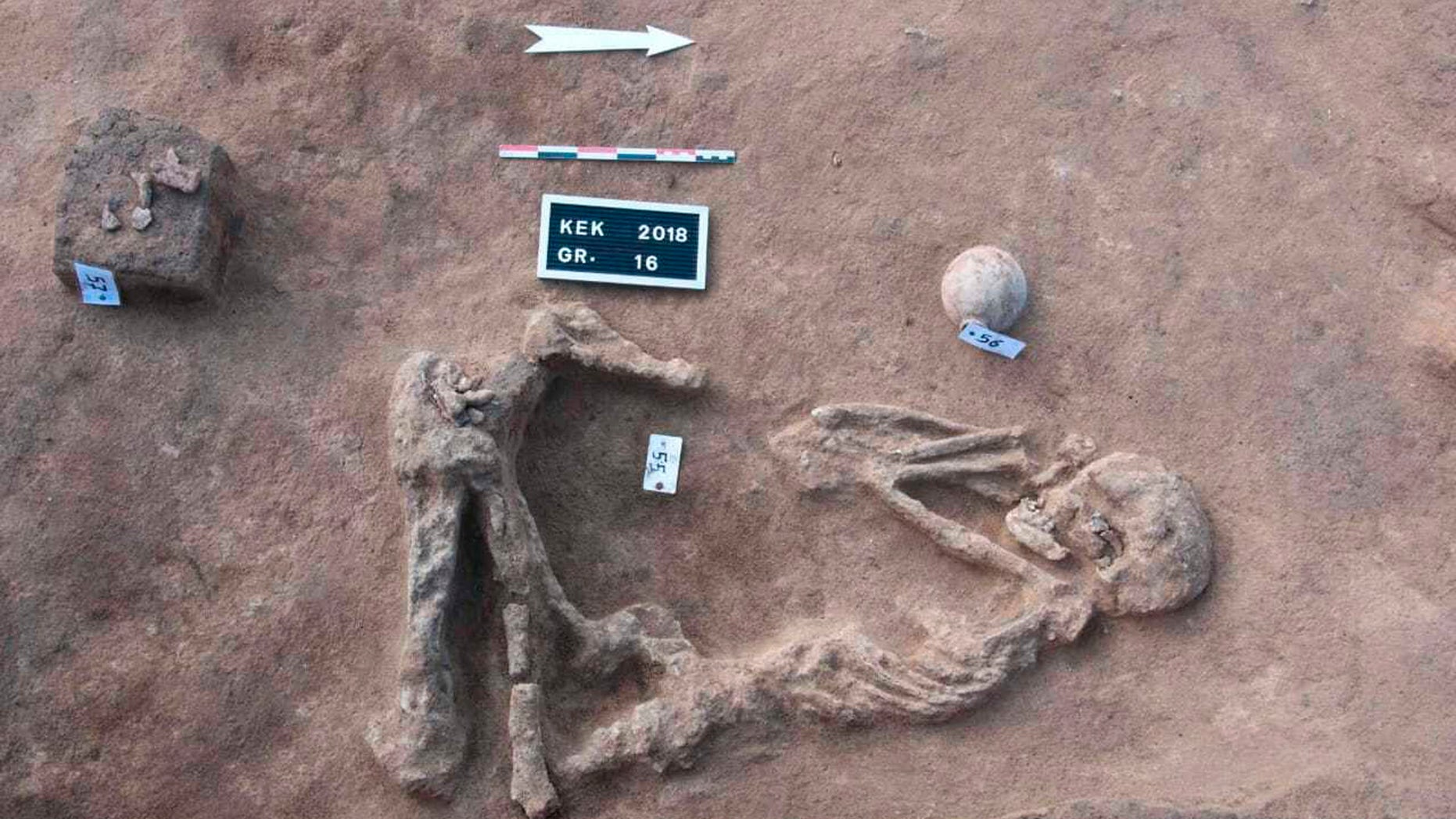 This undated handout photo provided by the Egyptian Antiquities Authority, shows a skeleton, at the Kom al-Kholgan archaeological site, about 140 kilometers (87 miles) north of Cairo, Egypt. The Antiquities Ministry said Wednesday, Jan. 23, 2019 that archaeologists have uncovered ancient tombs dating back to the Second Intermediate Period, 1782-1570 B.C., in the Nile Delta. (Egyptian Antiquities Authority via AP)