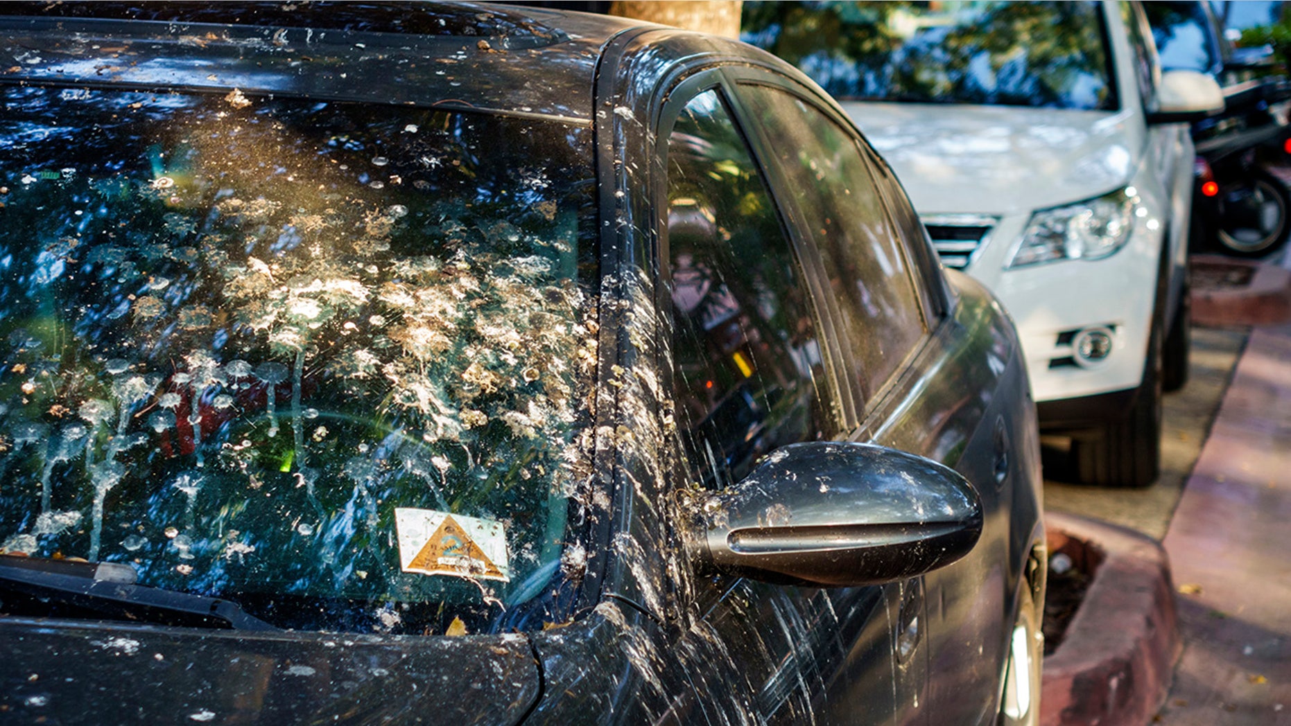 The next time this happens to your car, best to clean it off quickly.