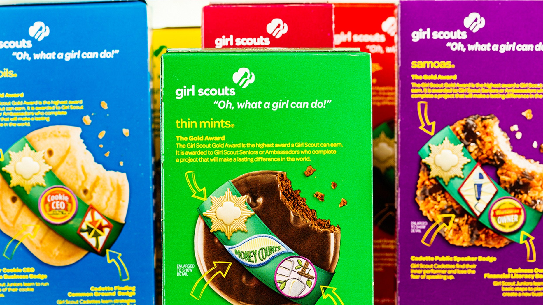 A Girl Scout troop selling cookies was robbed of over $1,100.
