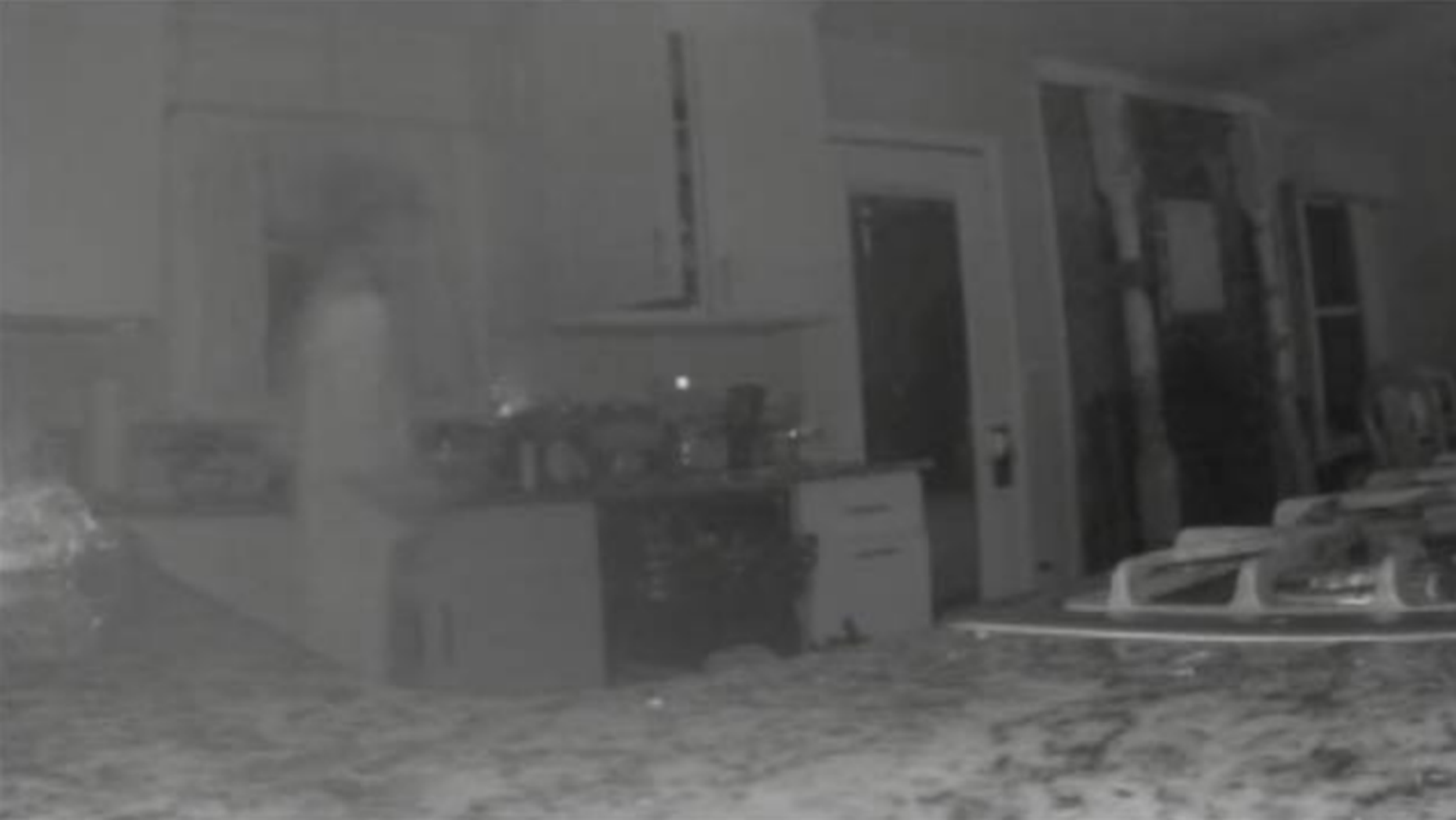 Security camera captured image of deceased son
