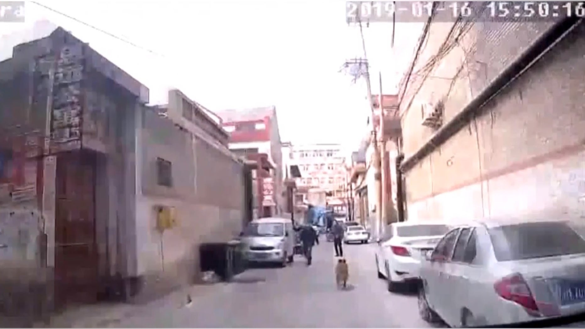 One spirited golden retriever is being praised as a hero on Chinese social media after valiantly guiding an ambulance to locate his owner, who had fallen unconscious.