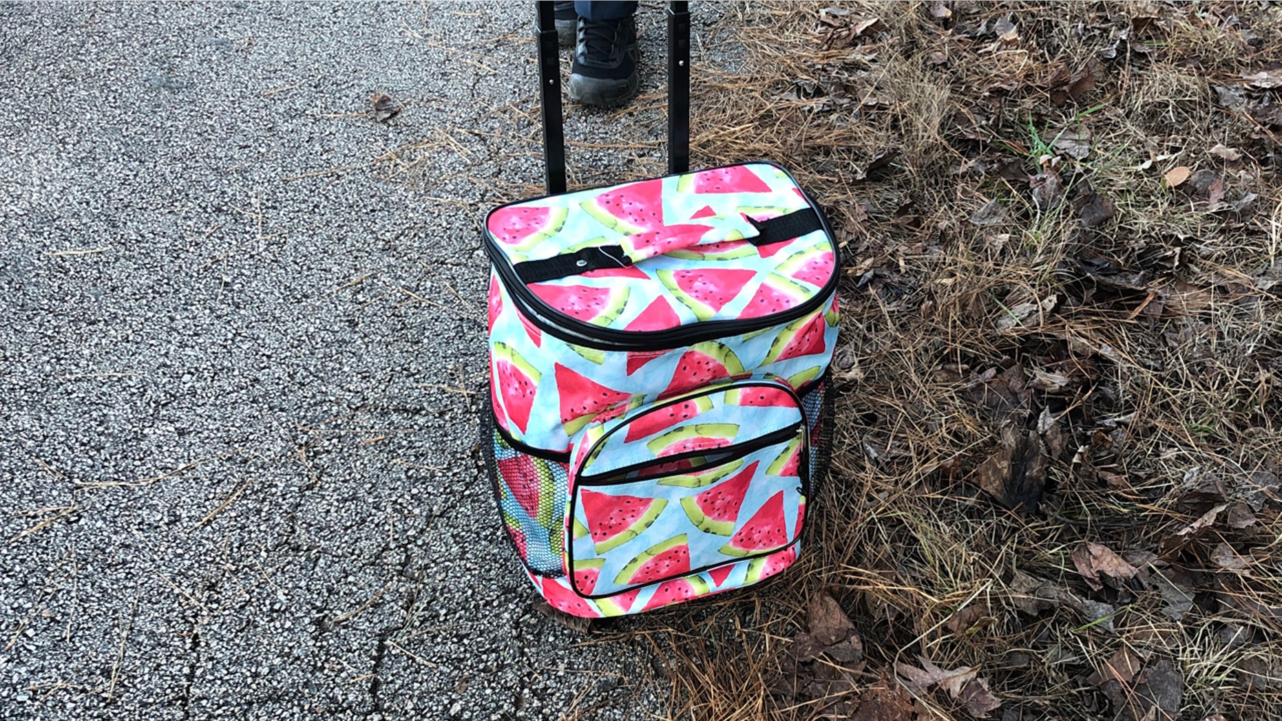 A cooler with the body of a baby was discovered in Troup County, Georgia on Sunday.
