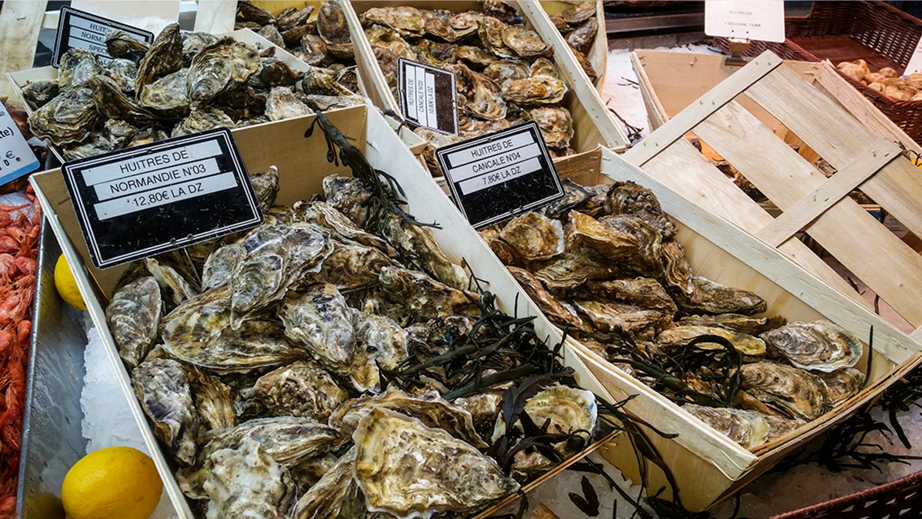At least 41 business have been affected by the Hod Island Oyster Company recall.