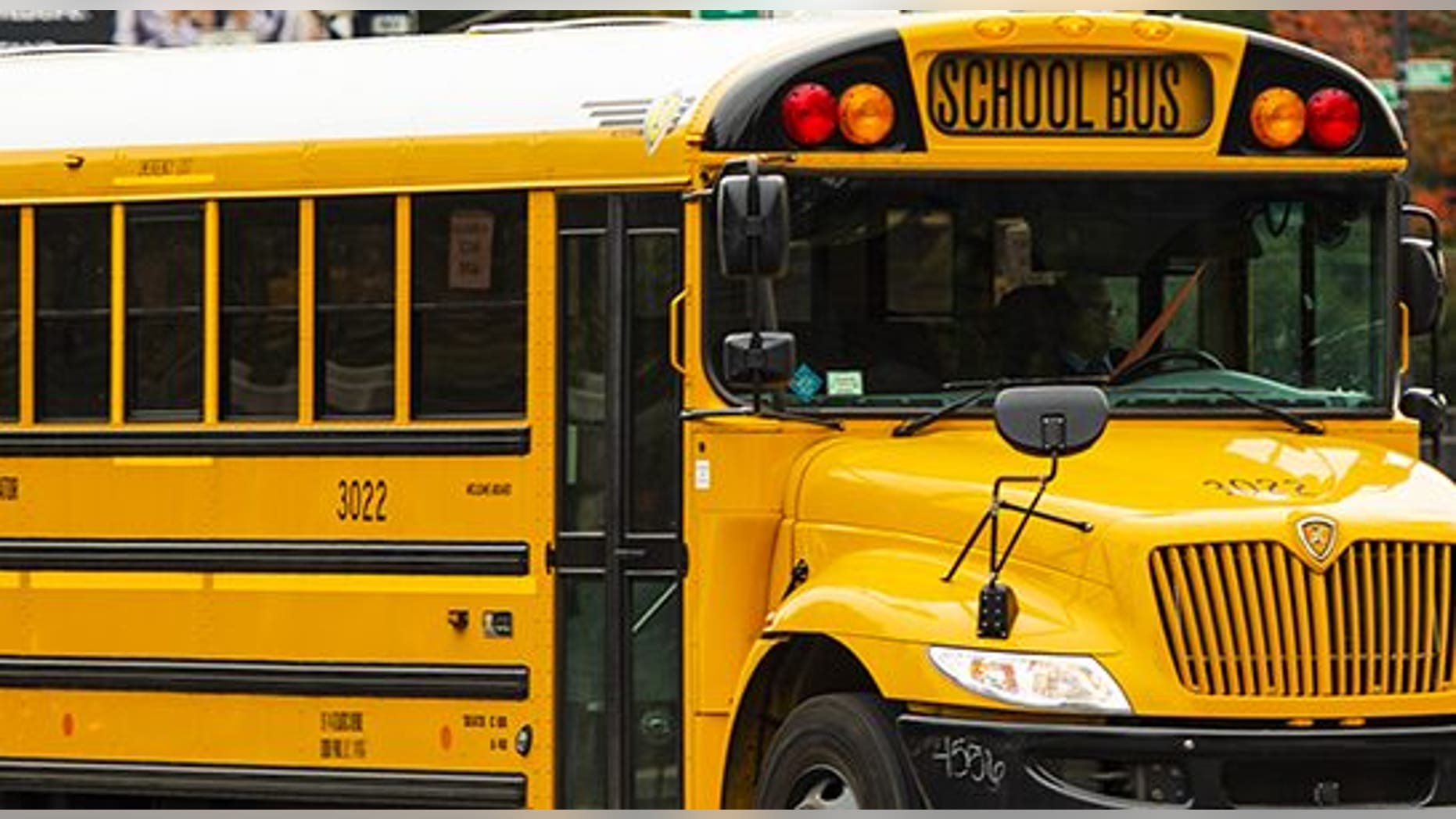 FILE -- A school bus on the streets of the Bronx, New York.