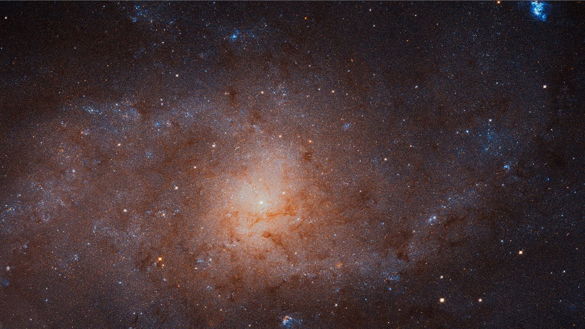 This gigantic image of the Triangulum Galaxy -- also known as Messier 33 -- is a composite of about 54 different pointings with Hubble’s Advanced Camera for Surveys. (Credit: NASA, ESA, and M. Durbin, J. Dalcanton, and B. F. Williams (University of Washington)