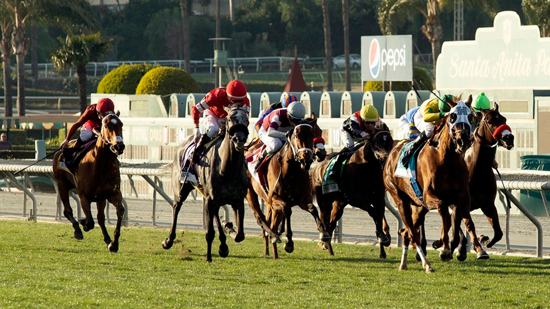 In this image provided by Benoit Photo, Vasilika, second from right, with Flavien Prat aboard, draws away in mid-stretch and goes on to win the Grade II, $200,000 Buena Vista Stakes horse race Saturday, Feb. 23, 2019, at Santa Anita Park in Arcadia, Calif. (Benoit Photo via AP)