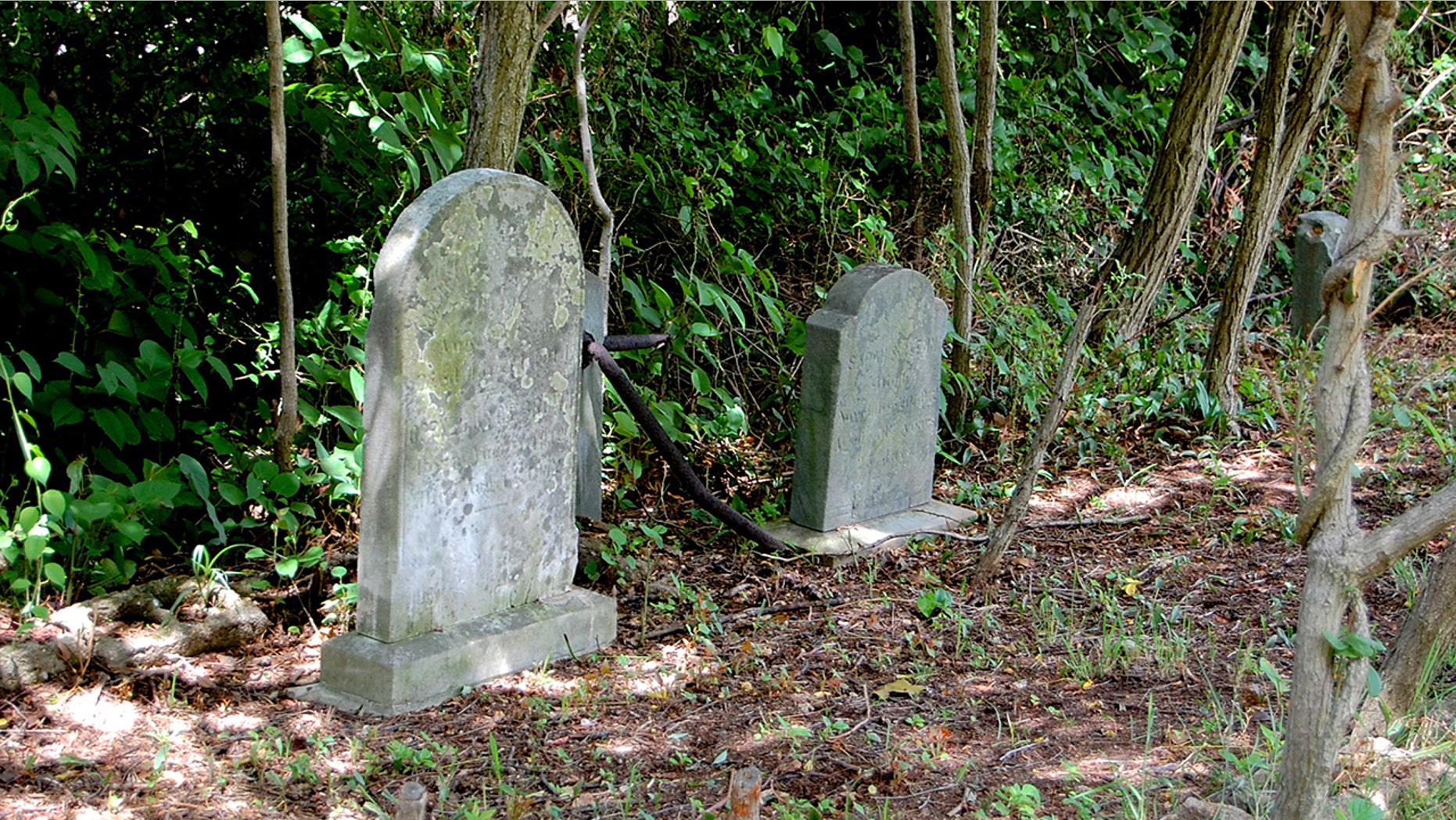 A new bill has been introduced in Congress that would preserve and document in a nationwide database the discovery of lost African-American burial sites