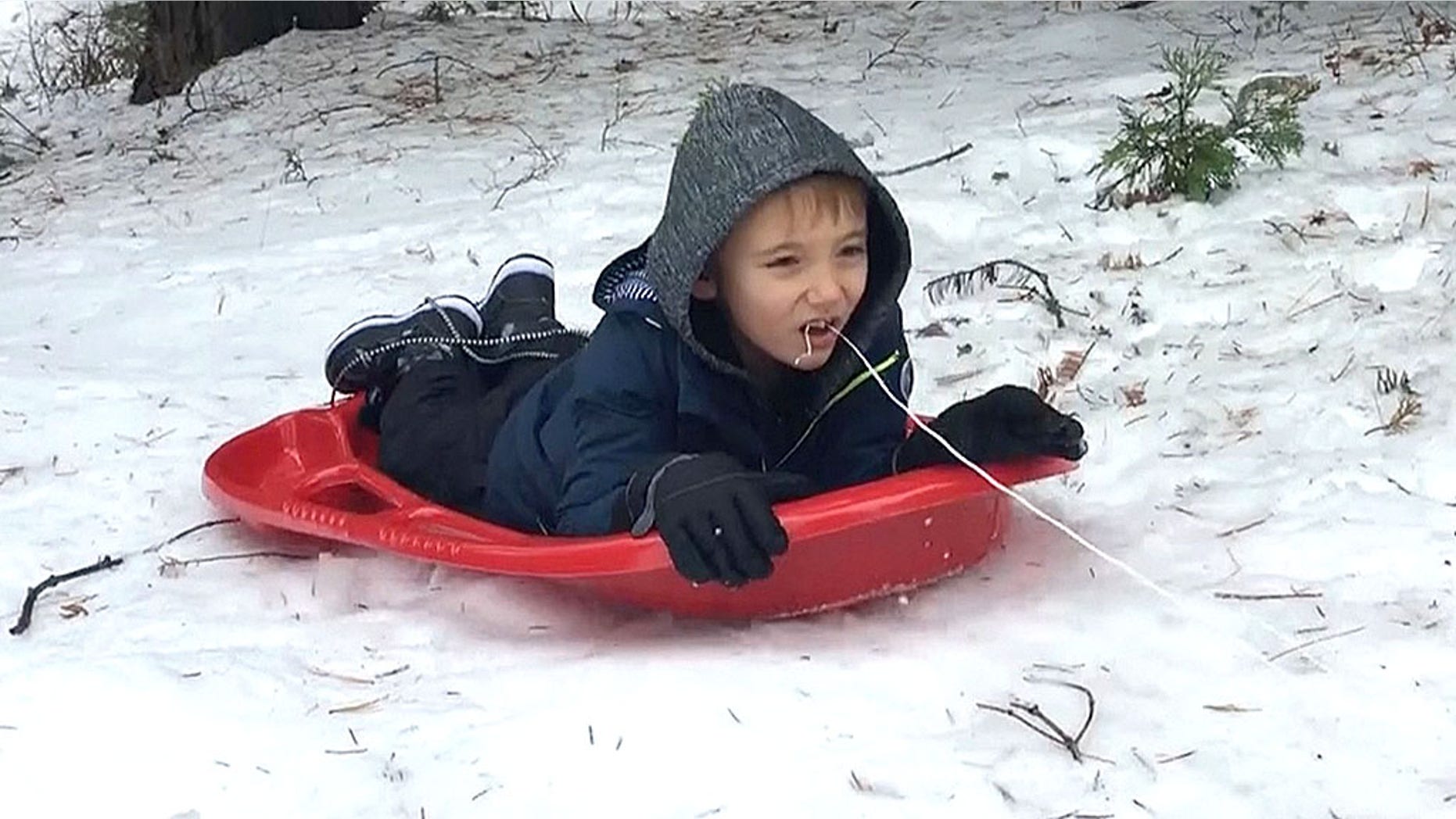 P Atticus Chandler, 6, decided the best way to yank out his loose tooth was to tie a piece of string around his tooth and let a sled do the trick.