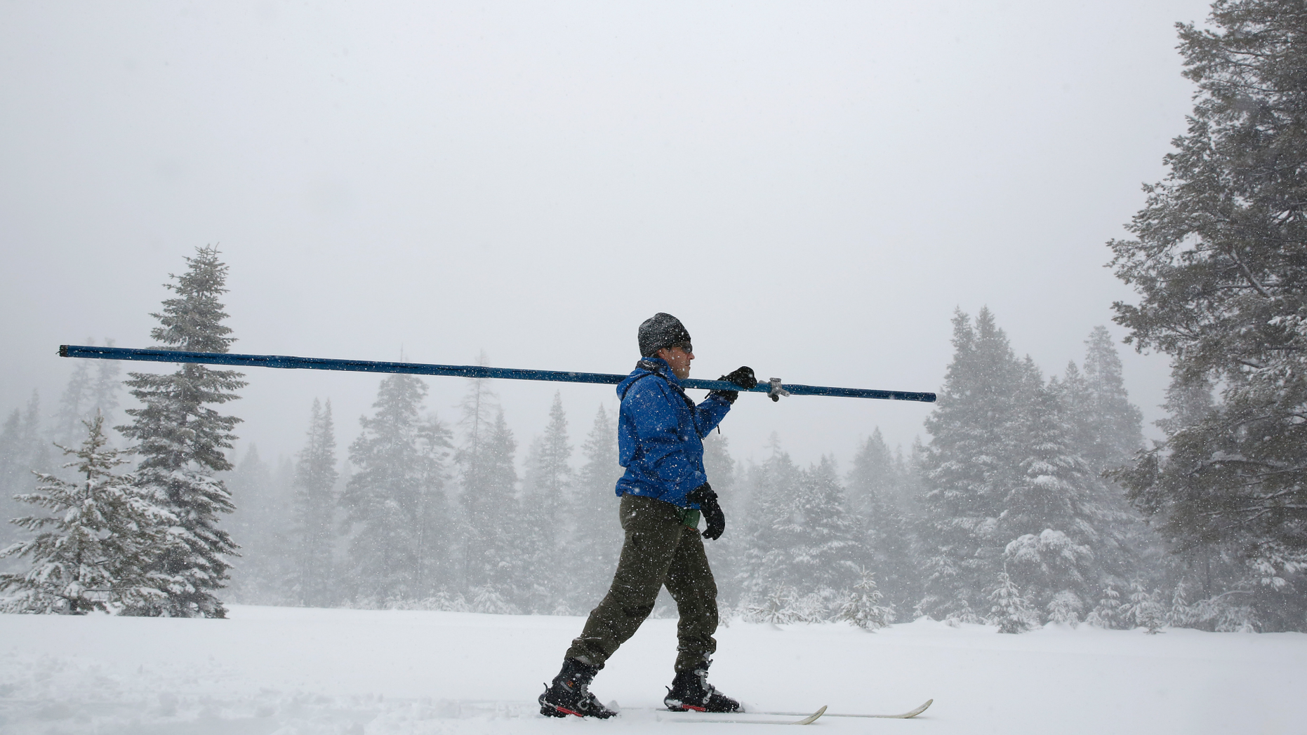 Snow falls as John King of the Department of Water Resources, crosses a meadow while conducting the third manual snow survey of the season at the Phillips Station near Echo Summit, Calif., Thursday, Feb. 28, 2019. The survey found the snowpack at 113 inches deep with a snow water equivalent of 43.5 inches at this location at this time of year. (AP Photo/Rich Pedroncelli)