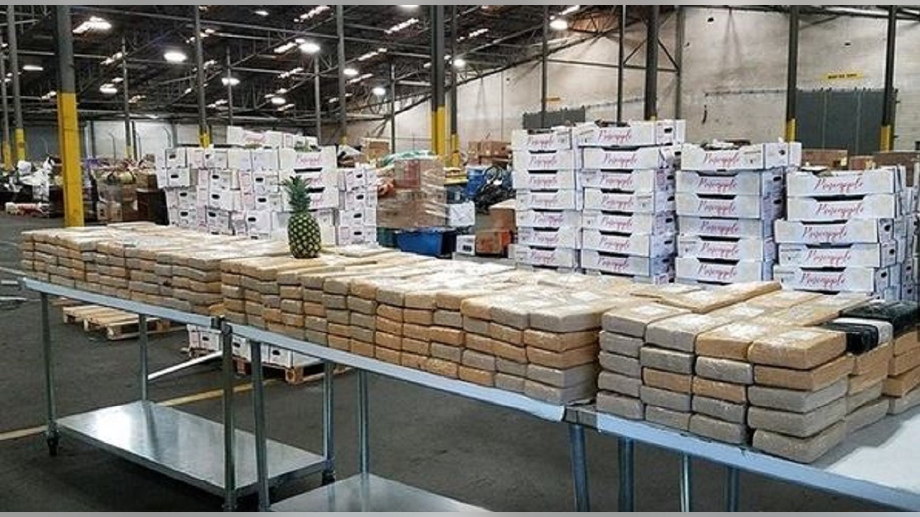 More than $19 million of cocaine was seized at the Port of Savannah by federal agents.