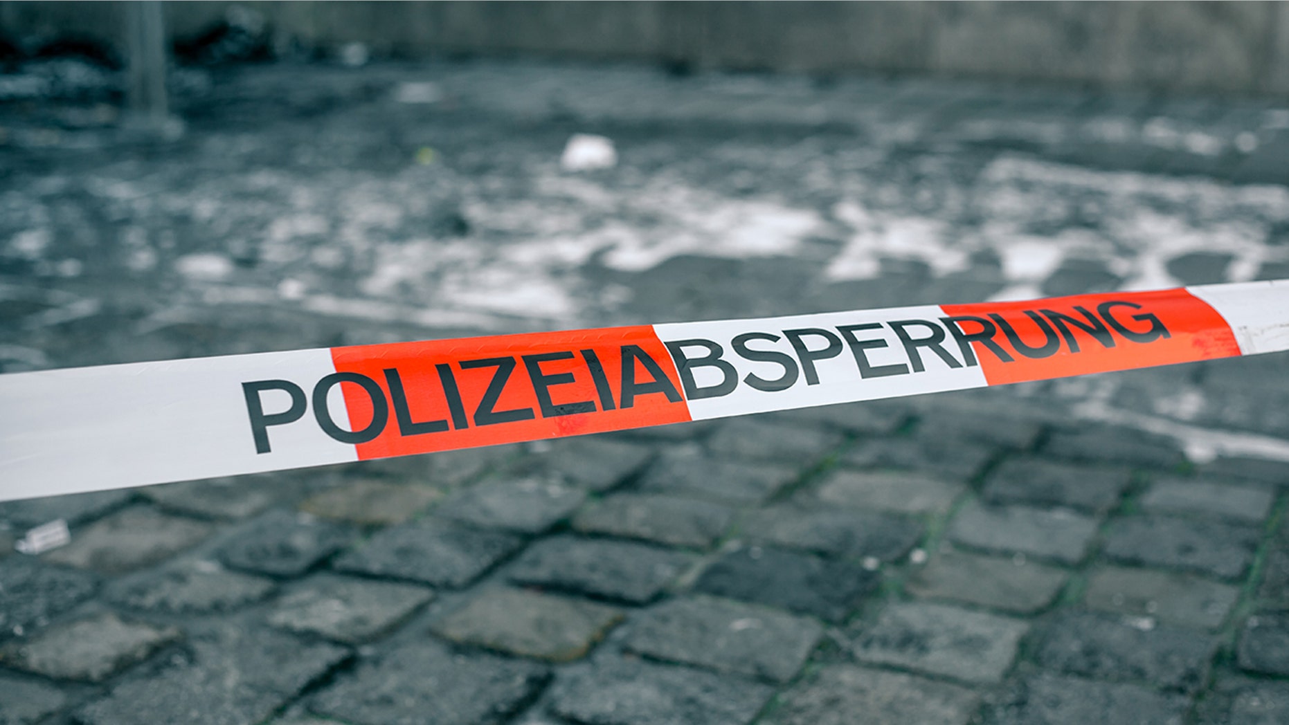 Police in Germany said an American Army civilian employee killed a suspected burglar who tried to break into his home