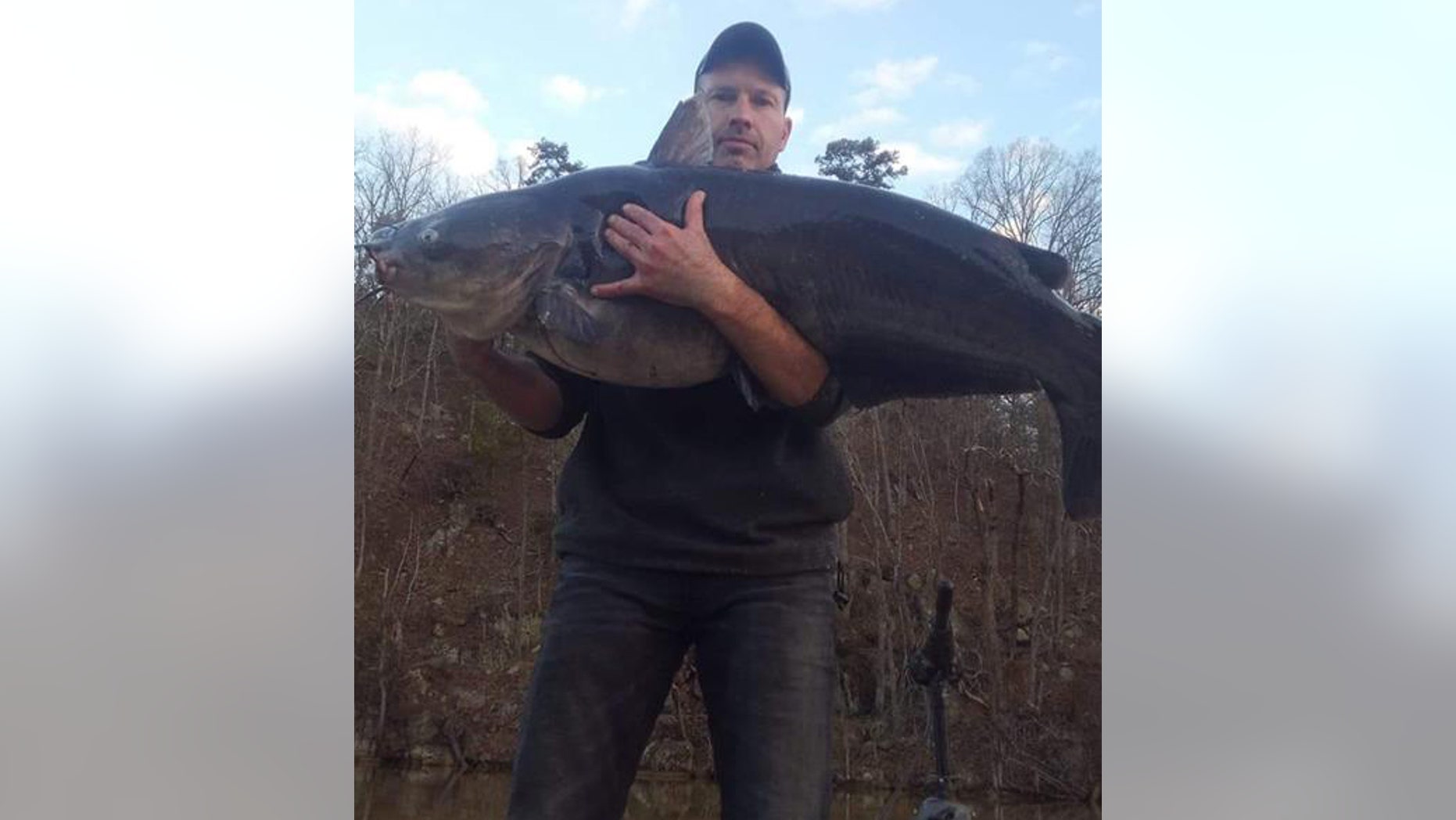 Fisherman Kevin Moore estimated the fish to weigh somewhere between 80 and 100 pounds.