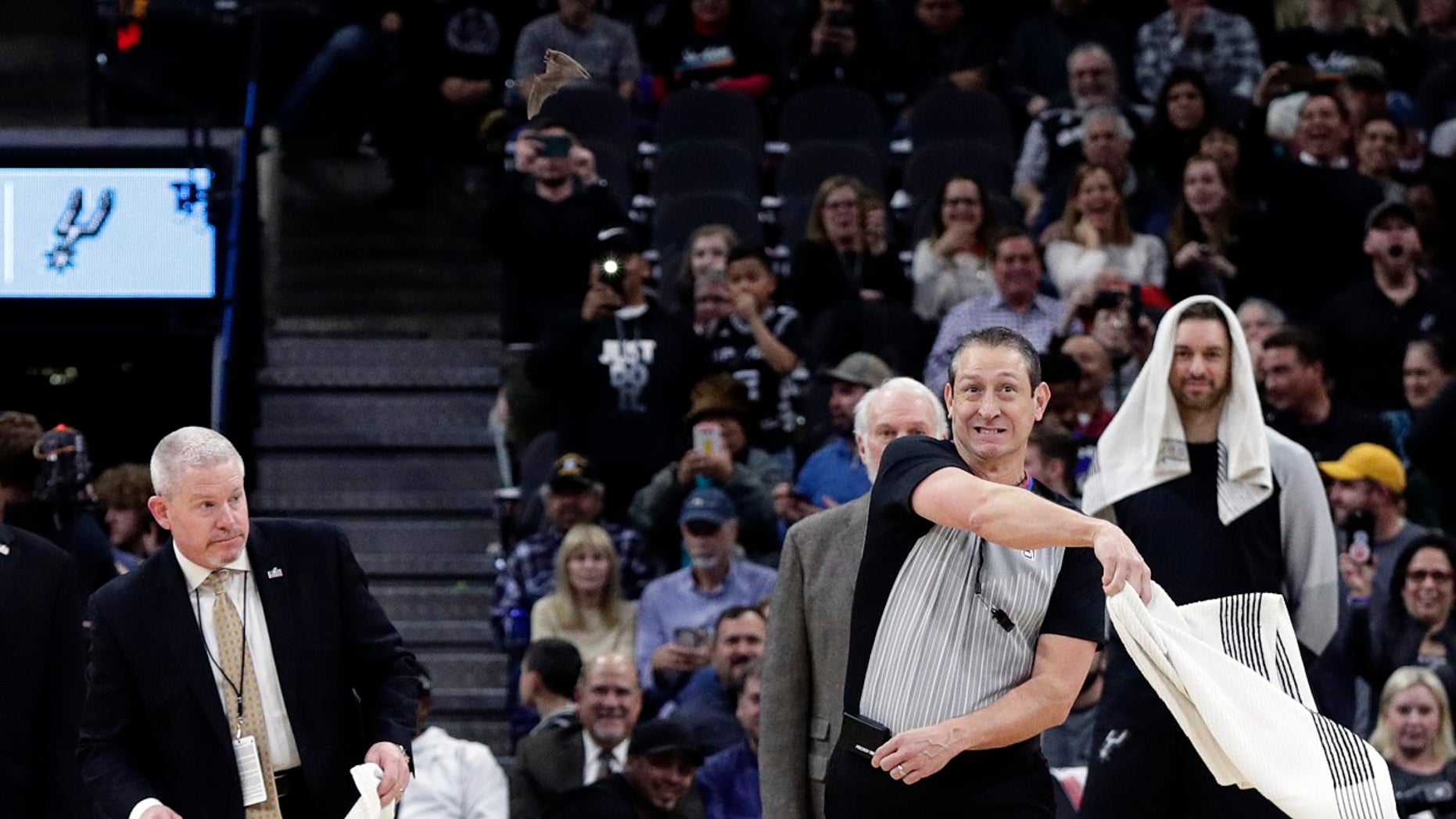 An official uses a towel to swat at a bat during the first half of an NBA basketball game between the San Antonio Spurs and the Brooklyn Nets, in San Antonio, Thursday, Jan. 31, 2019. (AP Photo/Eric Gay)