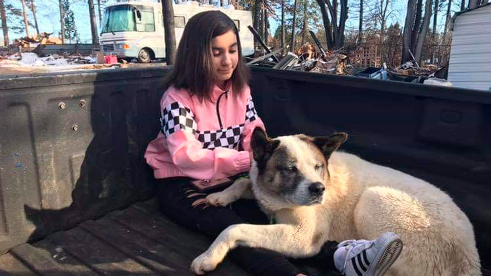 This Feb. 18, 2019 photo provided by Ben Lepe shows Maleah Ballejos reunited with her dog Kingston in Paradise, Calif. The Akita named Kingston was reunited with his family 101 days after he jumped out of their truck as they fled a devastating Northern California wildfire.