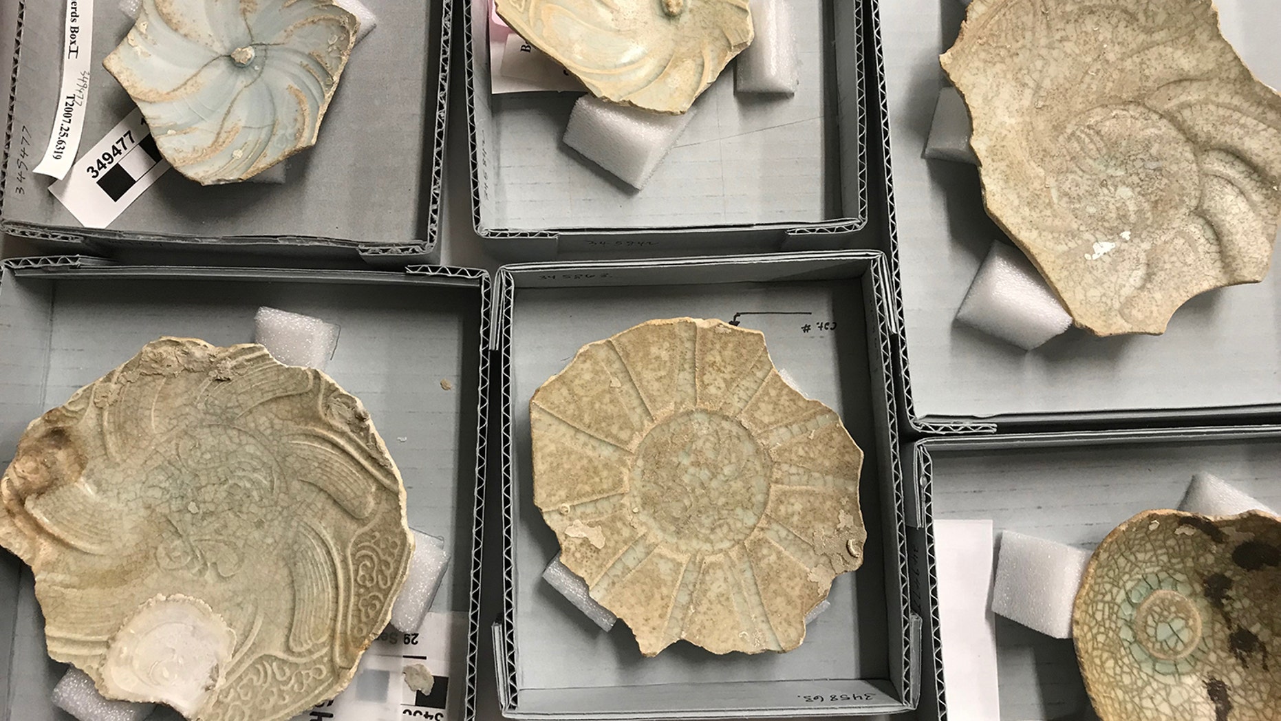 Qingbai ceramics from the Field Museum's Java Sea Shipwreck collection.