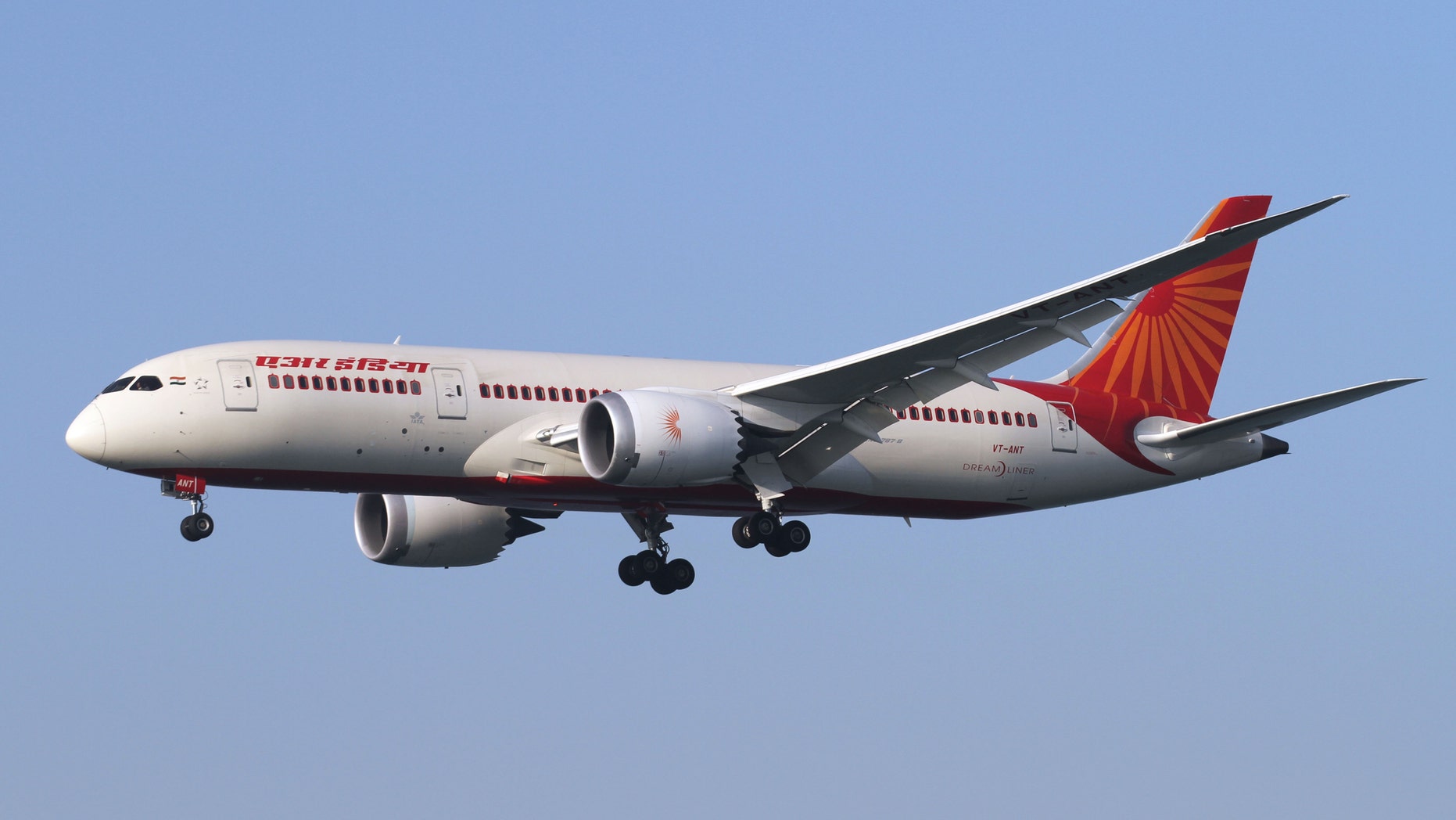 Air India apologizes to passenger who claims cockroach was cooked into in-flight meal