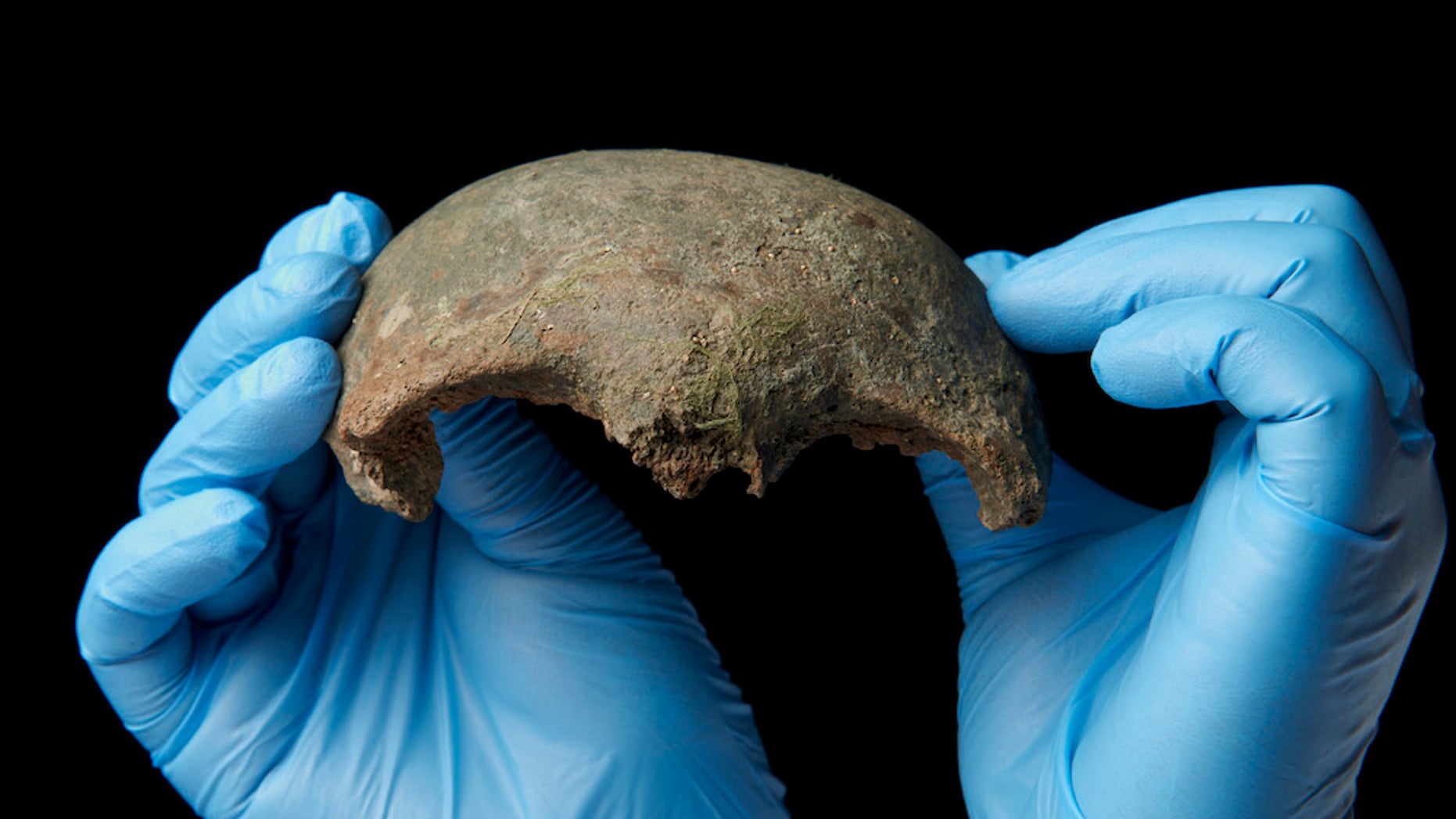 Someone fished this human skull fragment from the filthy River Thames in London. It is roughly 5,600 years old.