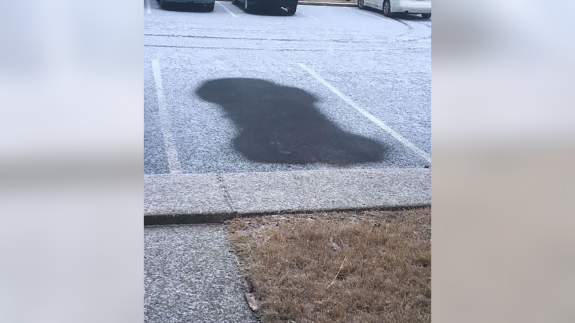 A homeowner’s association in Tennessee threatened to fine a resident $100 after her car left a penis-shaped imprint in a snowy parking lot, a report said Tuesday.