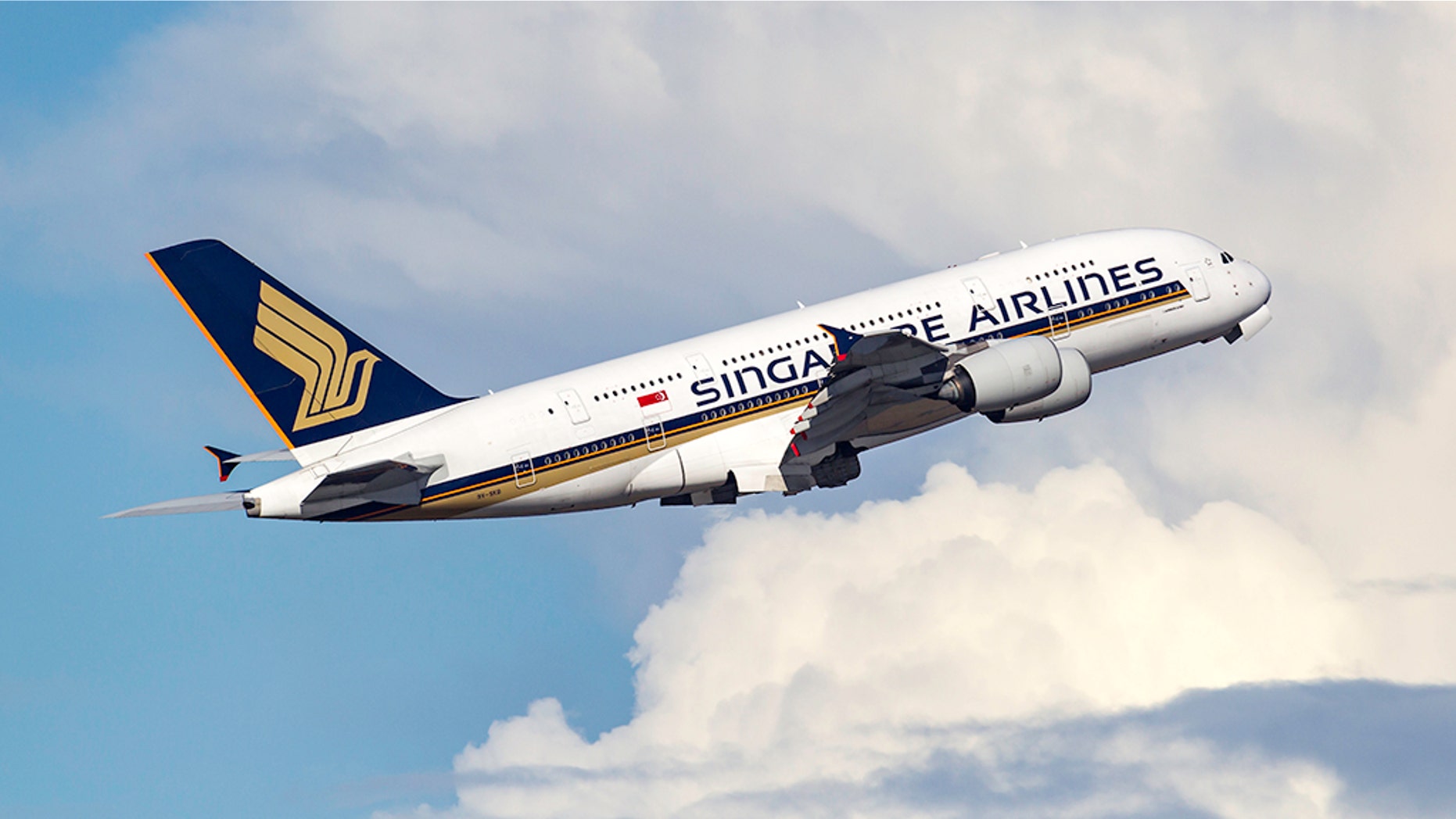 Quite a toothsome dish for one Singapore Airlines passenger.