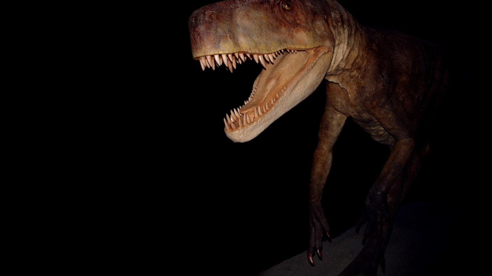 Researchers found several crushed teeth in the fossil droppings, probably belonging to <em>Smok wawelski</em> itself.