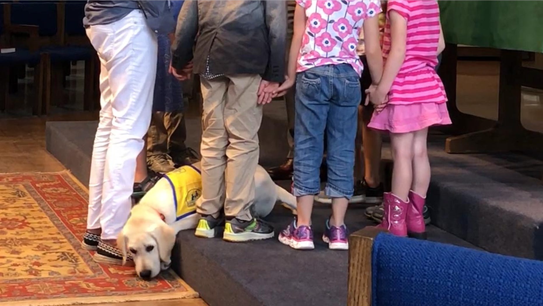 Pastor Richard Young and the children at Orchard Park Presbyterian Church outside of Buffalo, New York pray for Spike, a service dog in training. Jennifer Williams, the executive producer for "The Daily Briefing with Dana Perino," said the trip with Spike was one of the most meaningful to her.