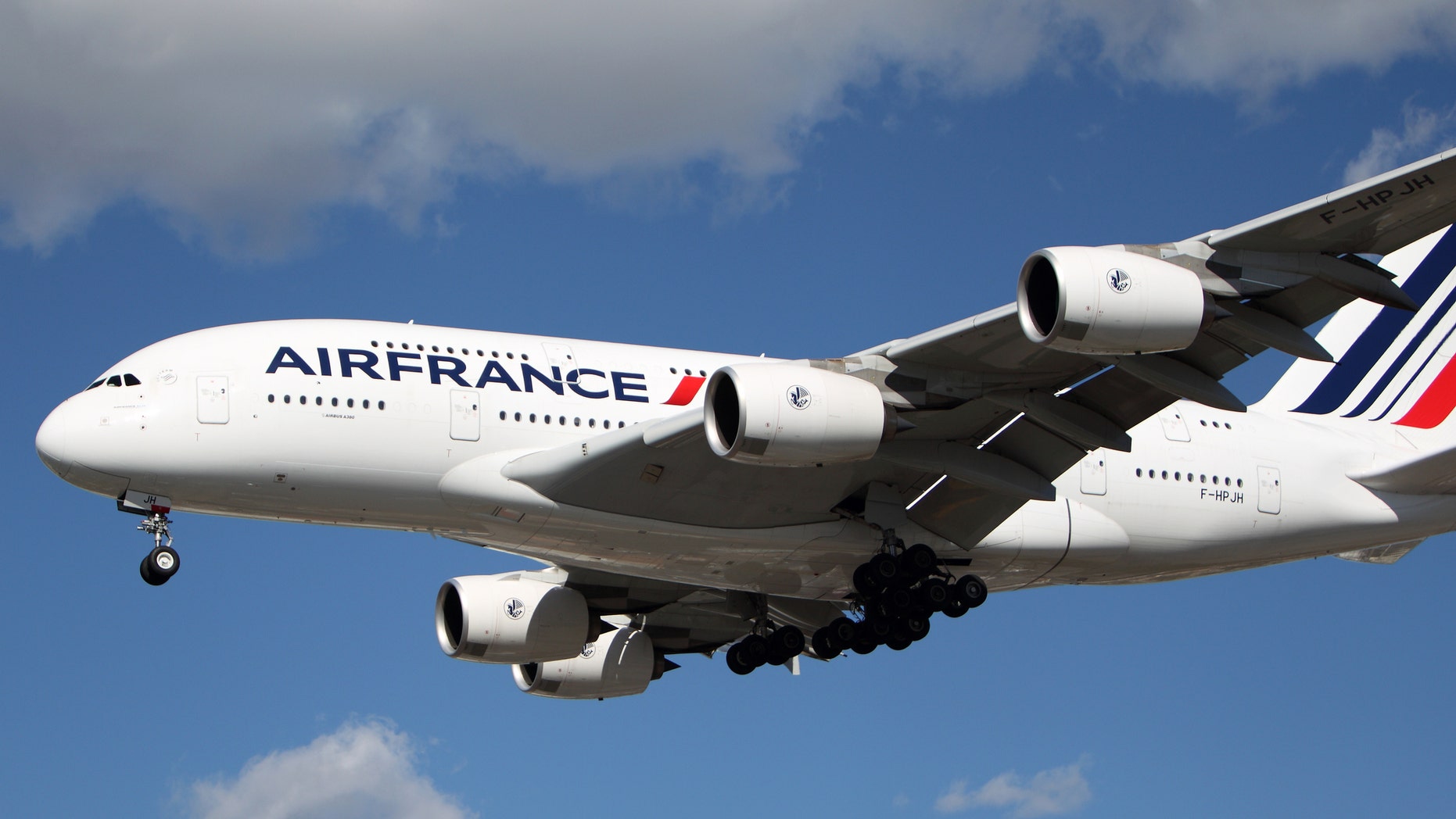 The animal is believed to have died from a lack of oxygen sometime during the nearly 11-hour flight.