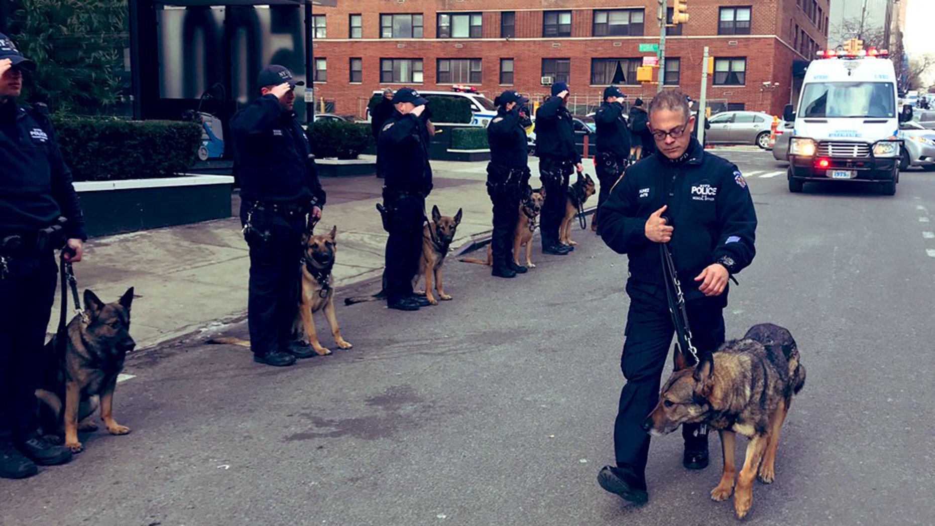 The New York Police Department honored one of its own, Transit Canine Axle, with one final salute. (NYPD)