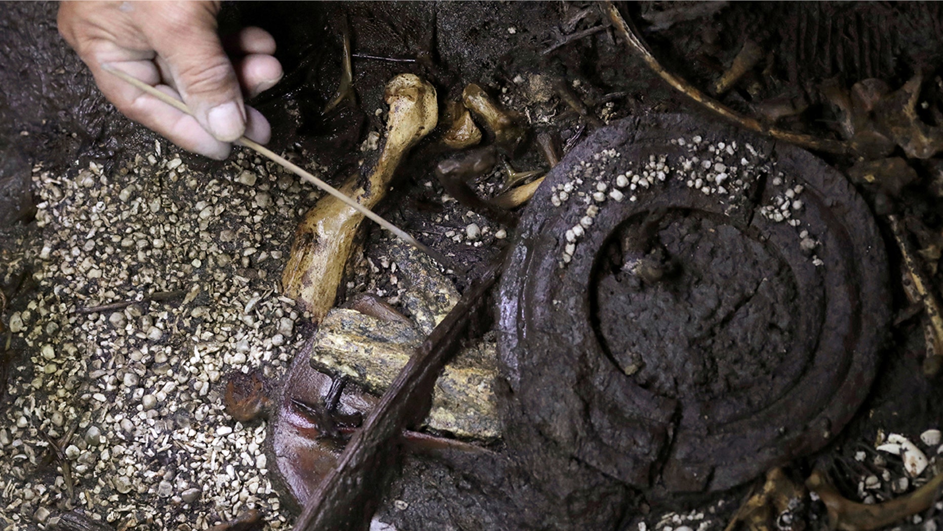 Tomas Cruz, an archaeologist with the National Institute of Anthropology and History (INAH), works at a site where the 500-year-old interior of a partially-excavated stone box contains an Aztec offering that includes the bones of a jaguar with the circular emblem of the war god Huitzilopochtli, as well a layer of coral, the remains of a large number of starfish and shells.