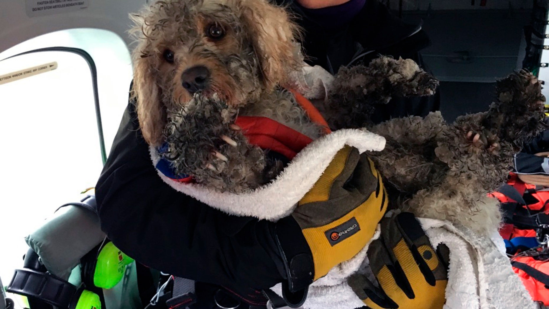 In this image provided by the Maritime & Coastguard Agency, winchman Kate Willoughby holds Ben the dog after he was rescued in the Cairngorms in Inverness, Scotland, Wednesday, March 13, 2019. It was a routine winter training mission in northeast Scotland until the Maritime and Coastguard Agency spotted a stranded dog on the snowy Cairngorms mountains below. They couldn’t fly away and leave the dog in trouble, so winchman Mark Stevens on Wednesday was lowered to the ground, scooped up the cold and frightened animal, and raised back to the helicopter. (Maritime & Coastguard Agency via AP)